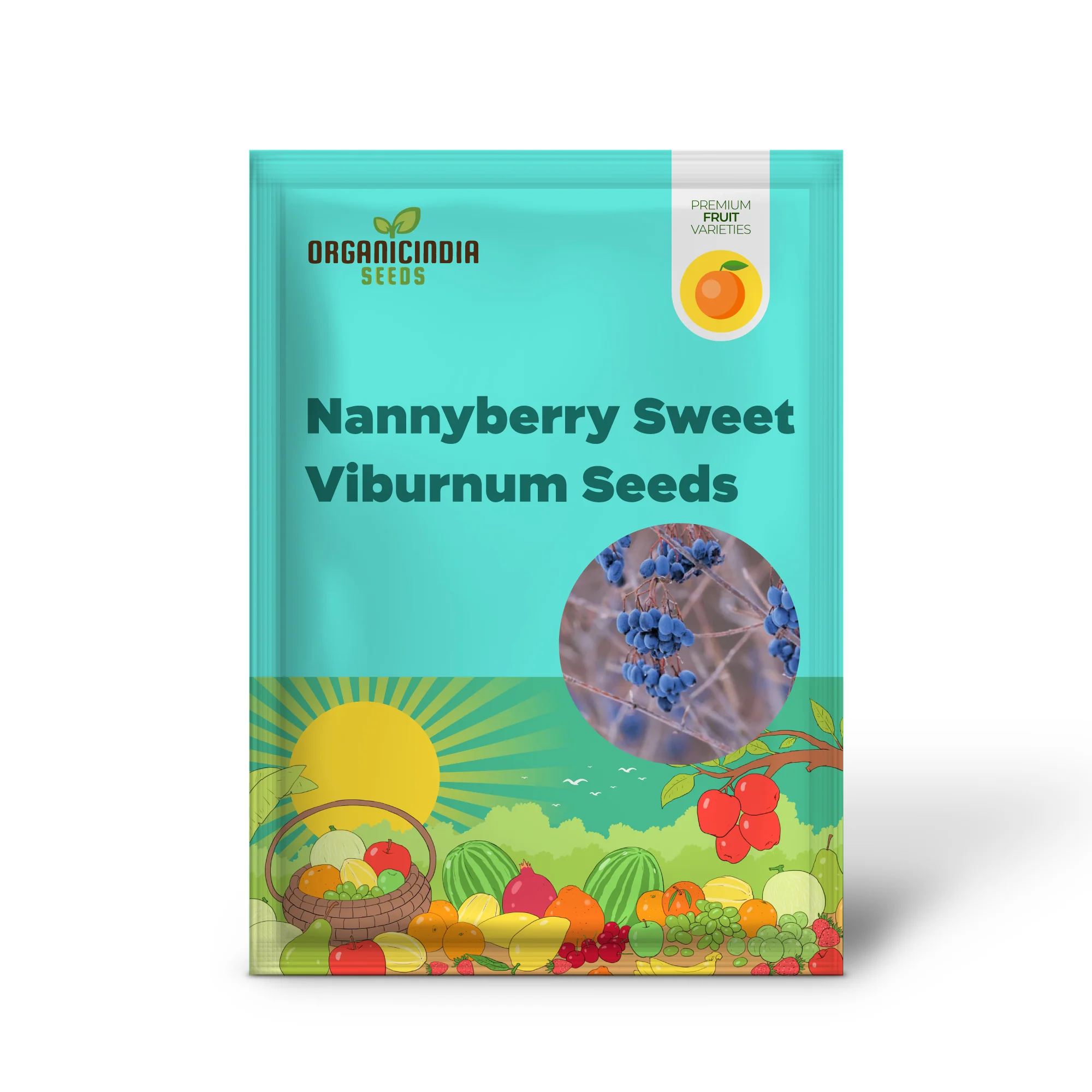 Nannyberry Sweet Viburnum Seeds - Image 2
