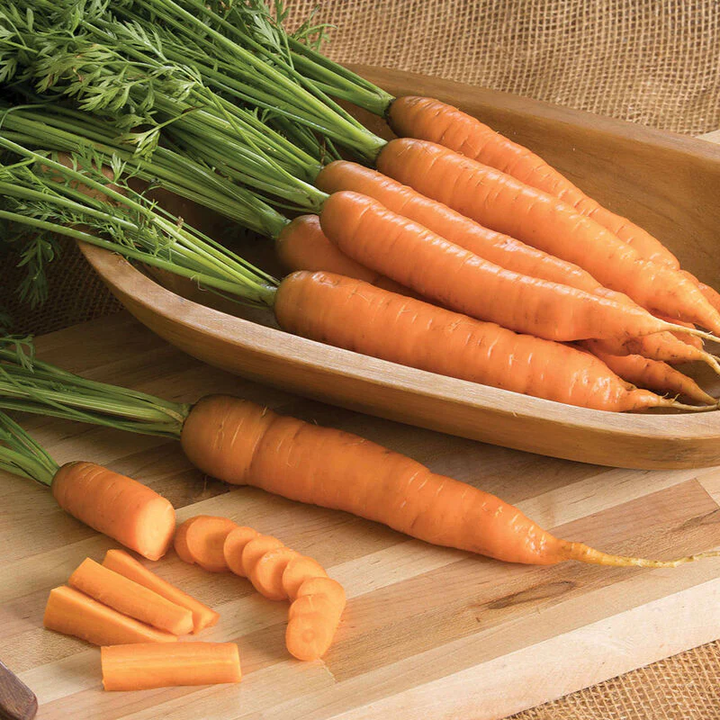 Napoli Carrot Seeds – Premium Early Sweet Carrots for Home Growing - Image 3