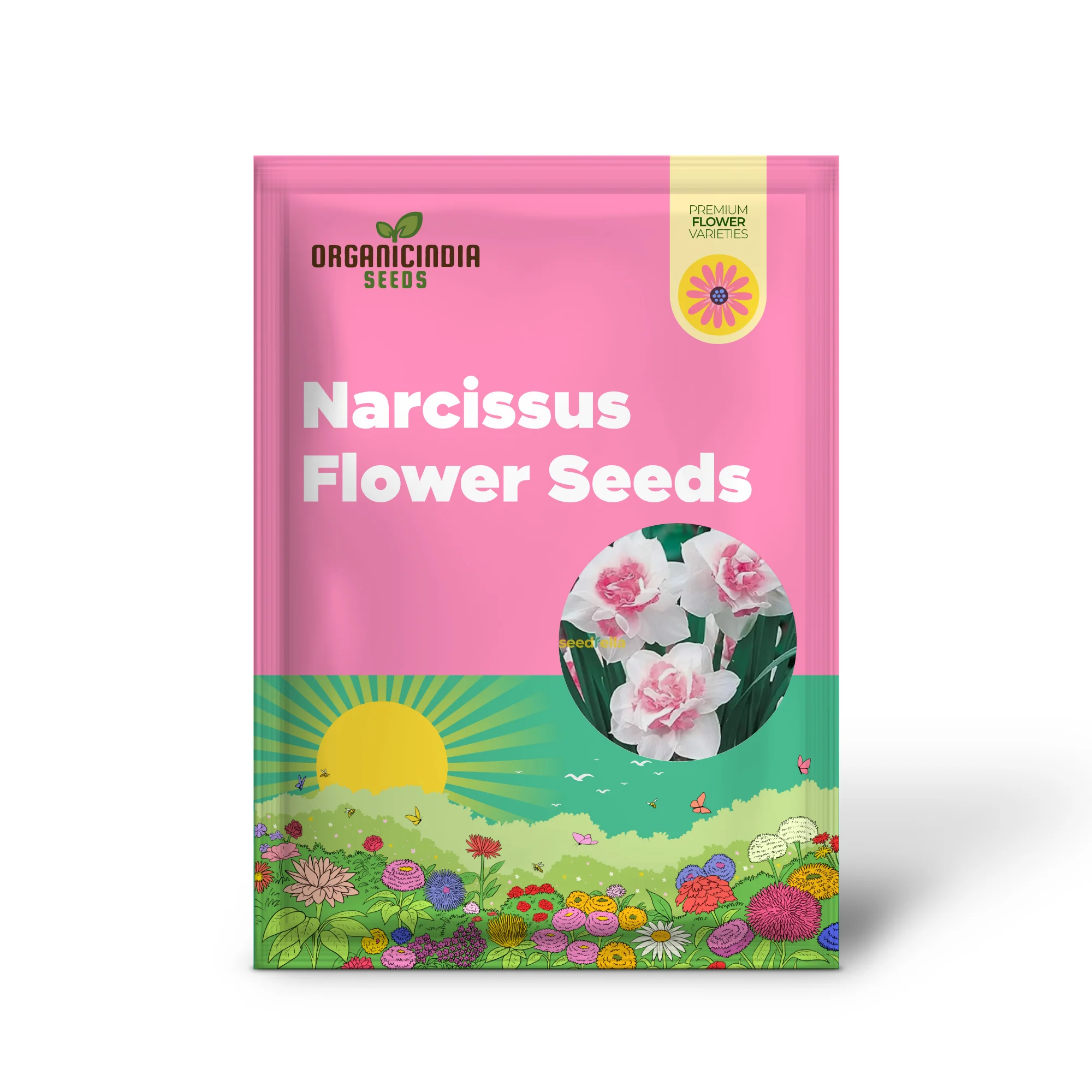 Narcissus Flower Seeds – White & Pink Varieties for Stunning Garden Blooms - Image 2