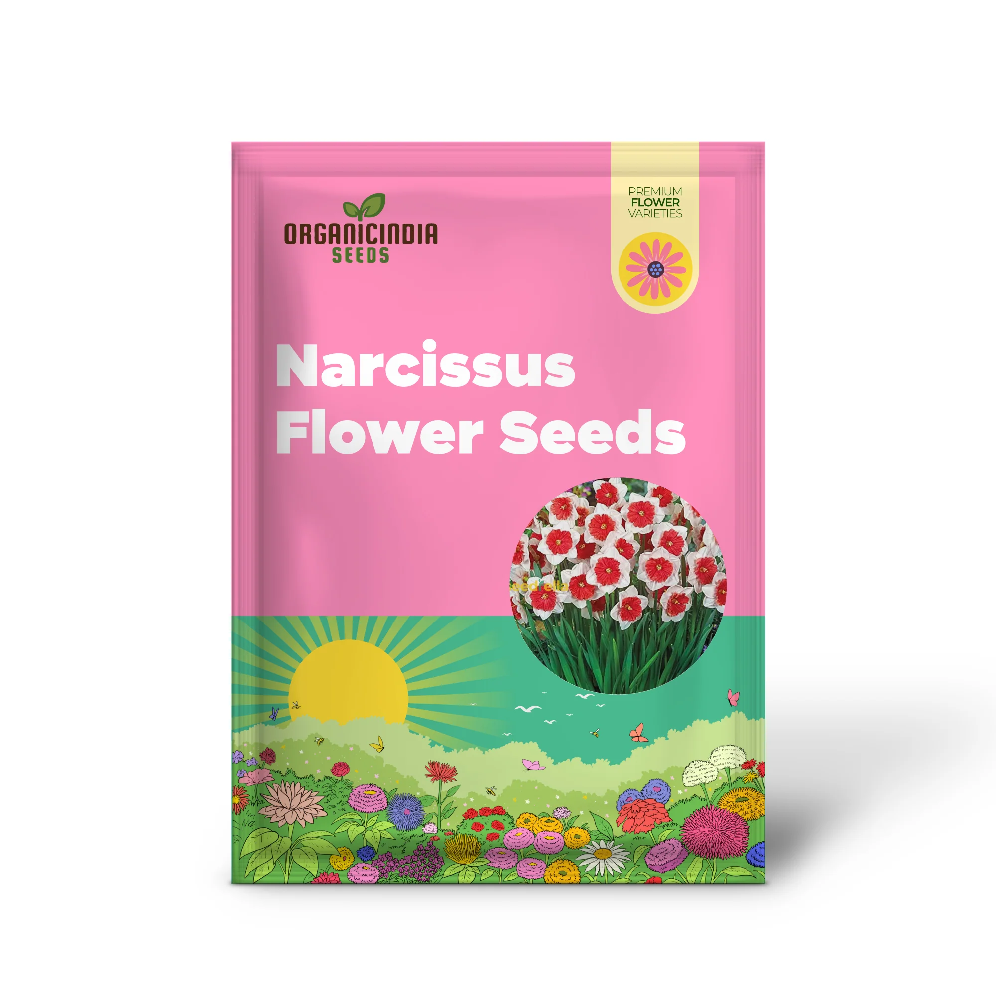 Narcissus White Red Seeds – Elegant Flower Bulbs for Garden Planting - Image 2