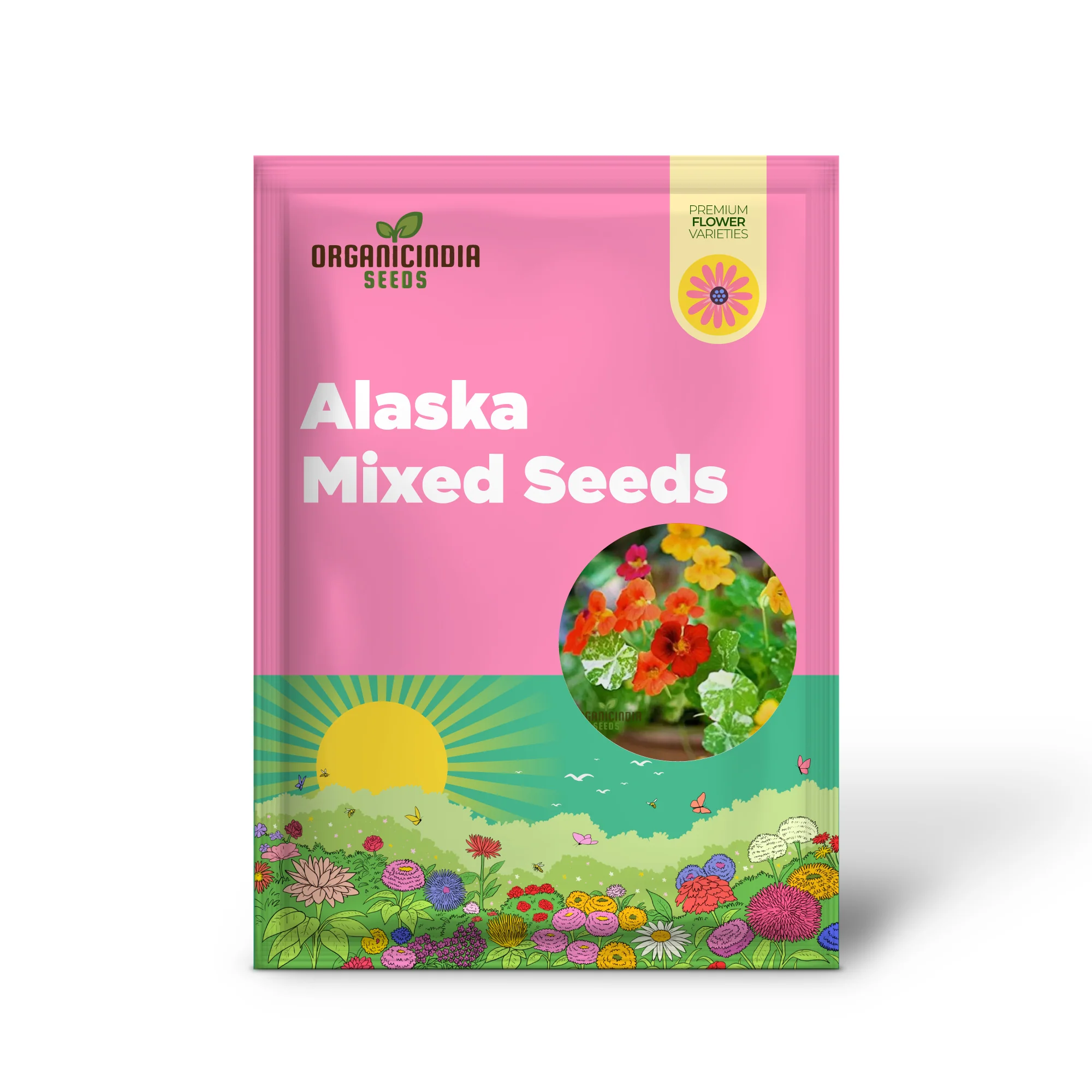 Nasturtium 'Alaska' Mixed Seeds for Garden Planting - Easy to Grow Edible Flowers with Variegated Leaves - Image 2