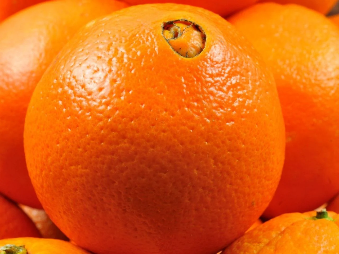 Navel Orange Seeds for Planting – Grow Sweet & Seedless Oranges - Image 4