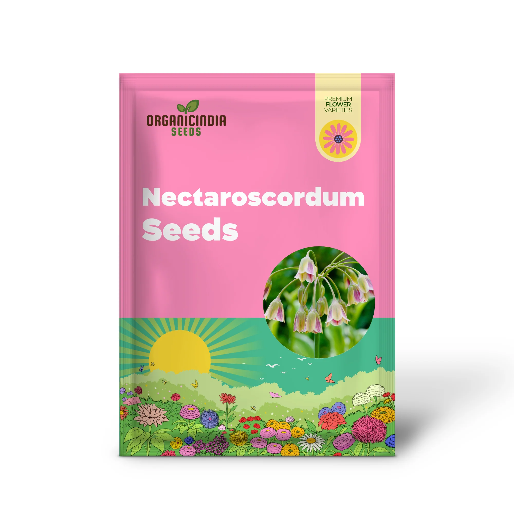 Nectaroscordum Siculum Seeds for Exceptional Gardening: Add Unique Beauty to Your Garden with These Stunning Seeds - Image 2