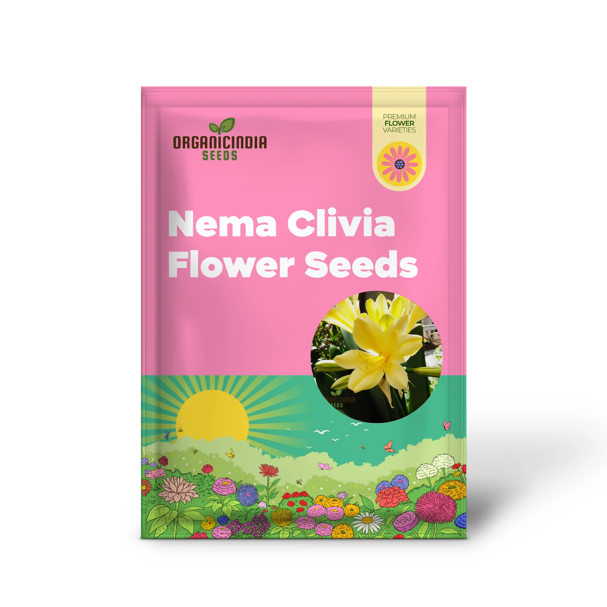 Nema Clivia flower Seeds, Premium Yellow Flower Seeds for Vibrant Gardening, Easy-to-Grow Perfect for Home Gardeners - Image 2
