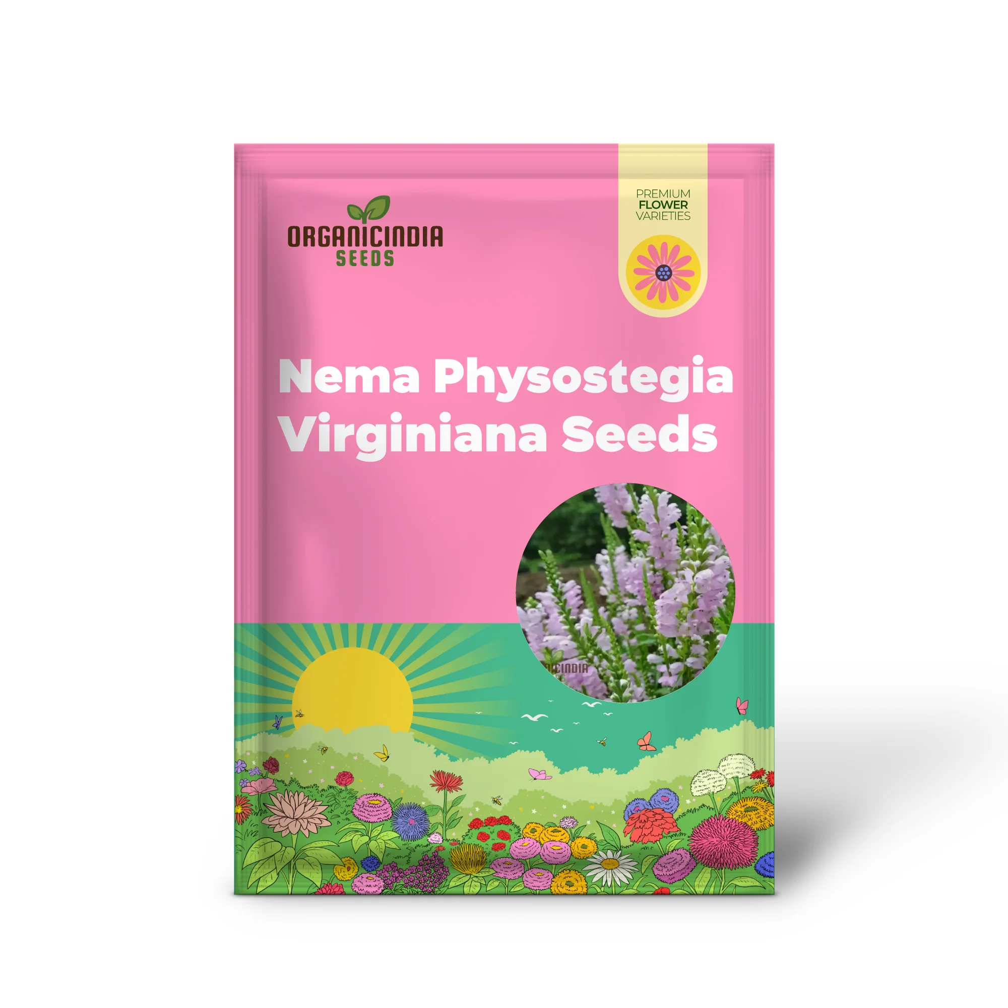 Nema Physostegia Virginiana Seeds, Beautiful Purple Obedient Plant Flower Seeds for Gardening - Image 2