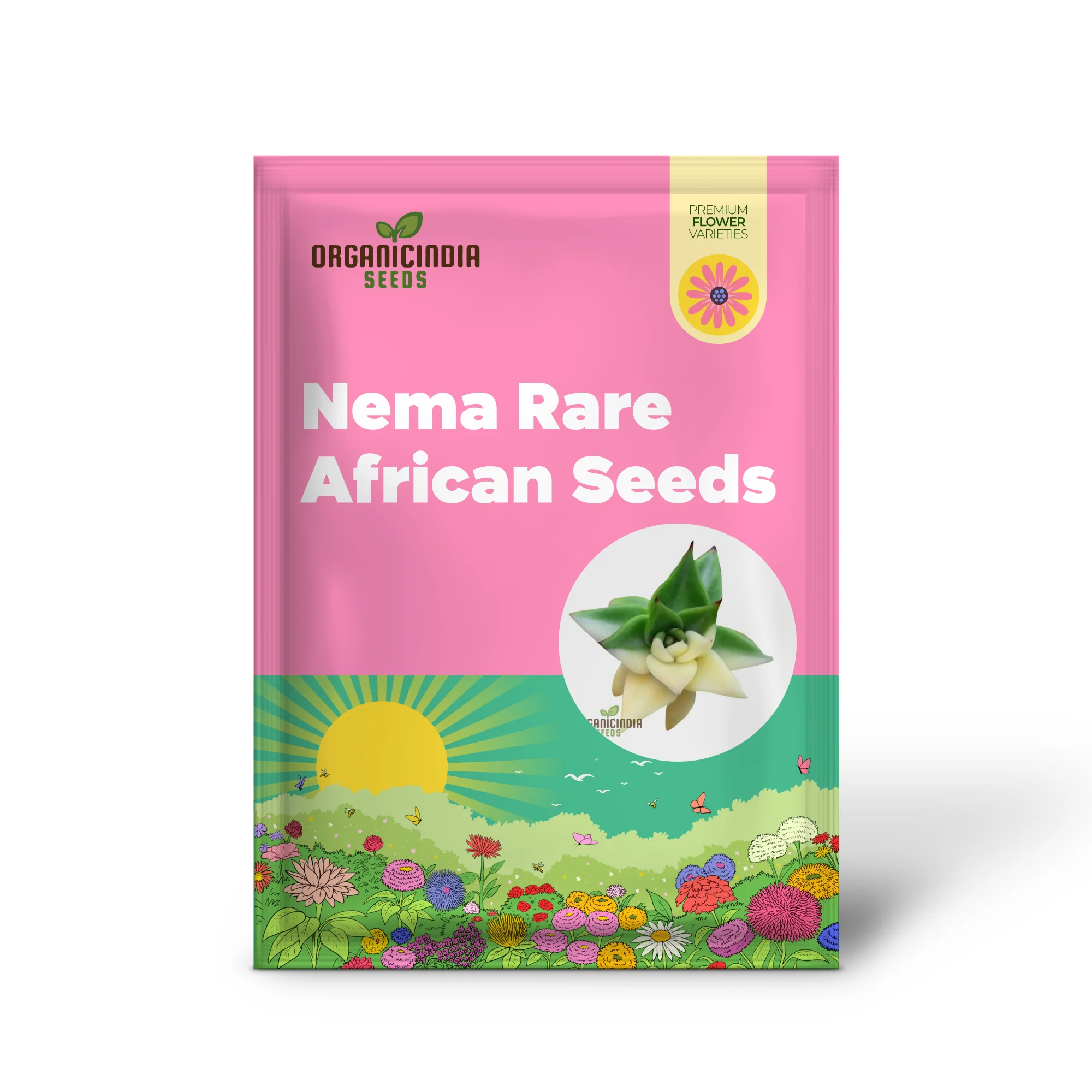 Nema Rare African Cactus Succulent Seeds - Green and White - 100Pcs | Premium Gardening Seeds for Unique Succulent Plants - Image 3