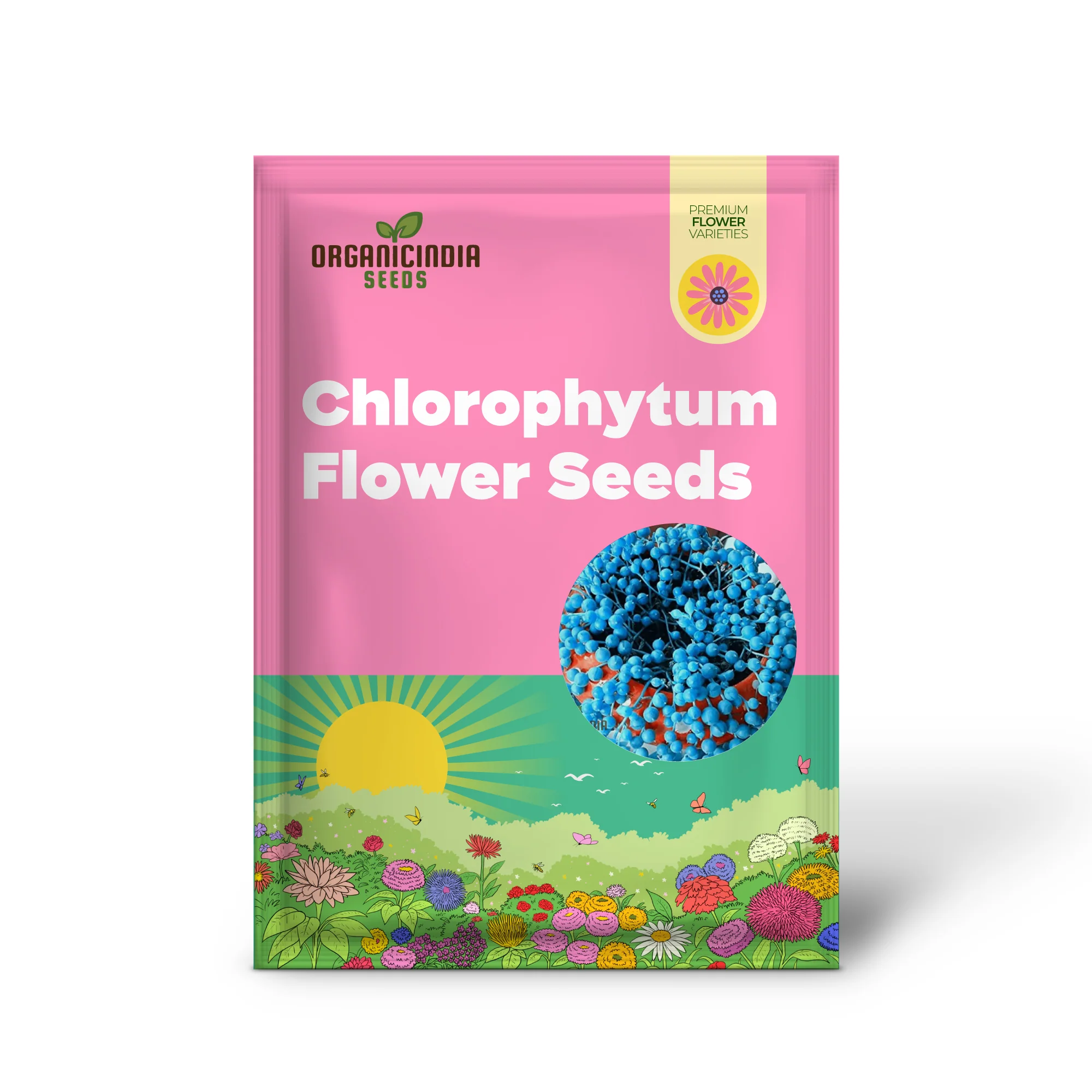 Nema Rare Blue Round Pearl Chlorophytum Flower Seeds for Planting,Unique Gardening Seeds for Beautiful Blue Bloom - Image 2