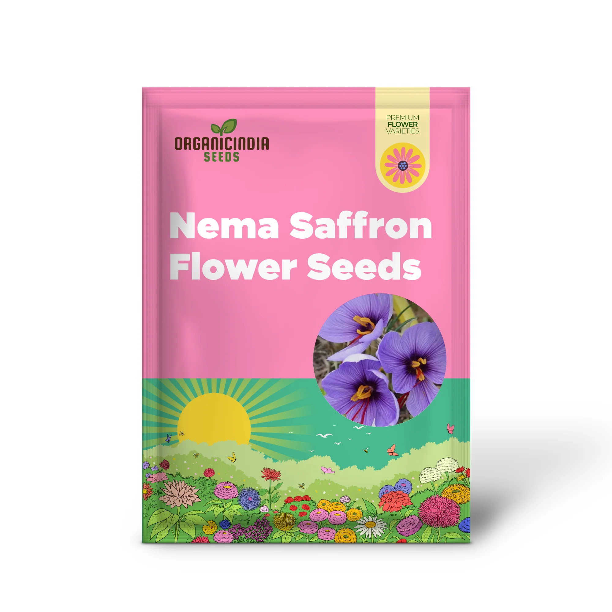 Saffron Flower Bulbs – Crocus Sativus for Home Planting - Image 2