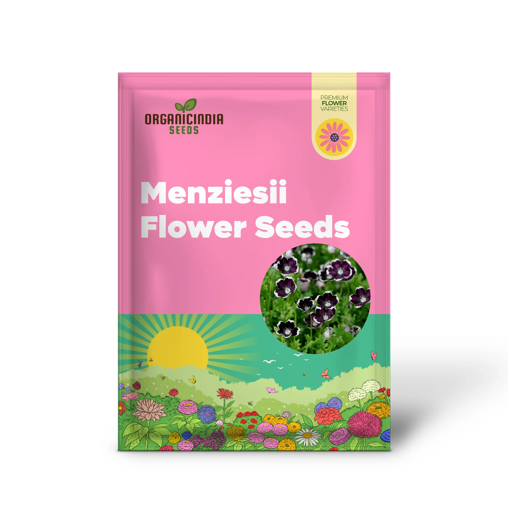 Nemophila Menziesii 'Penny Black' Seeds for Beautiful Gardening: Enhance Your Garden with Unique and Stunning Blooms - Image 2