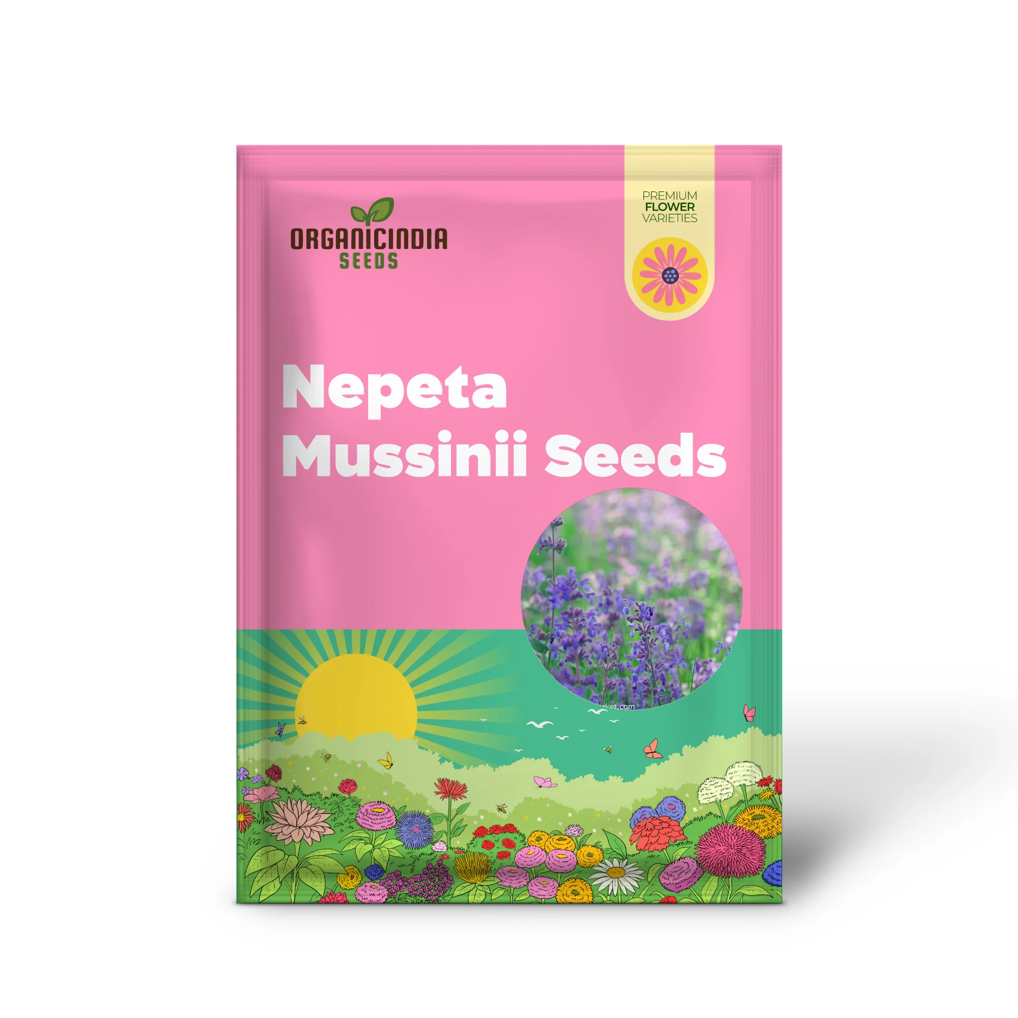 Nepeta Mussinii Seeds for Vibrant Garden Blooms | Hardy Perennial for Lush Greenery - Image 2