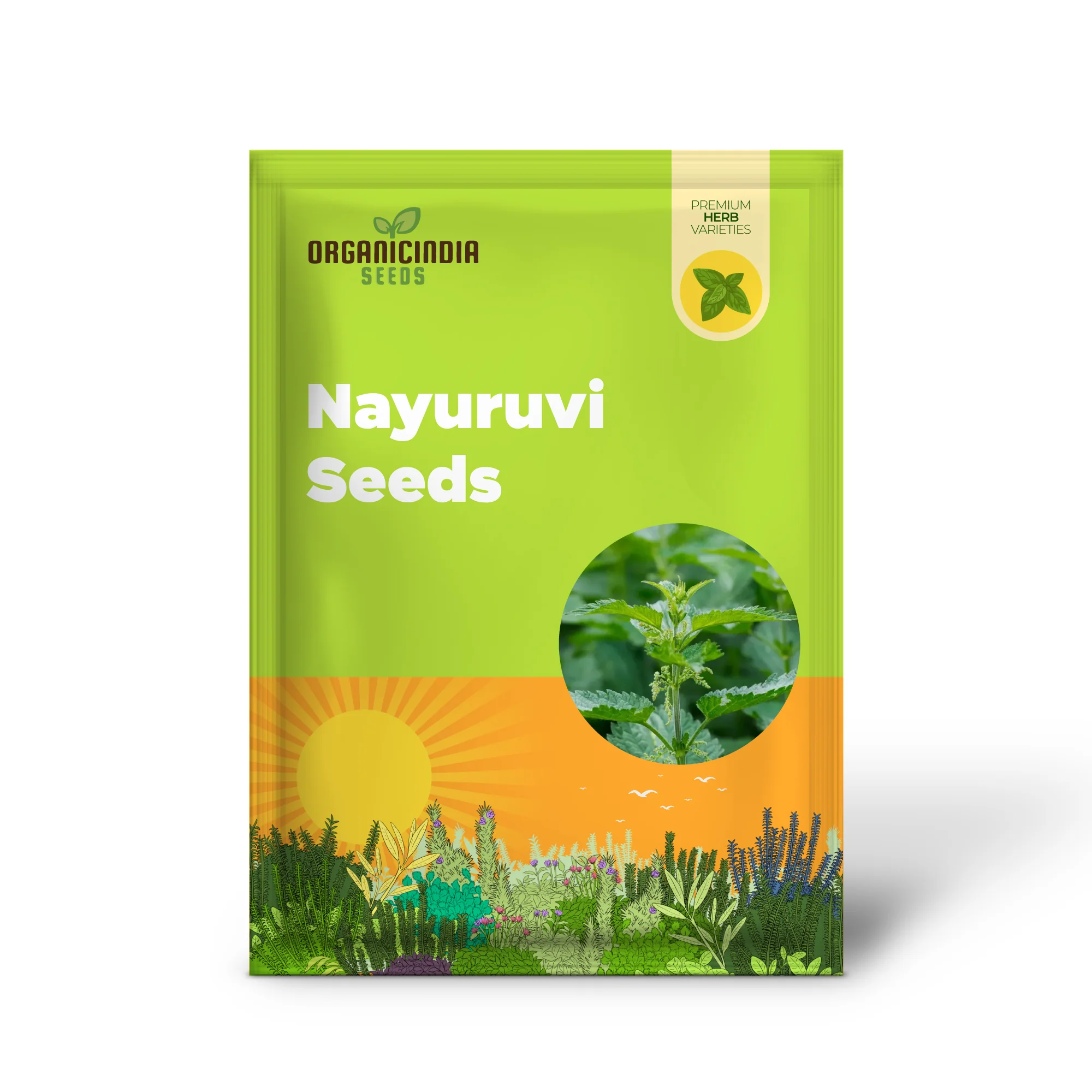 Nettle Nayuruvi Seeds for Planting – Healthy, Nutritious, Easy-Grow Herb Variety - Image 2