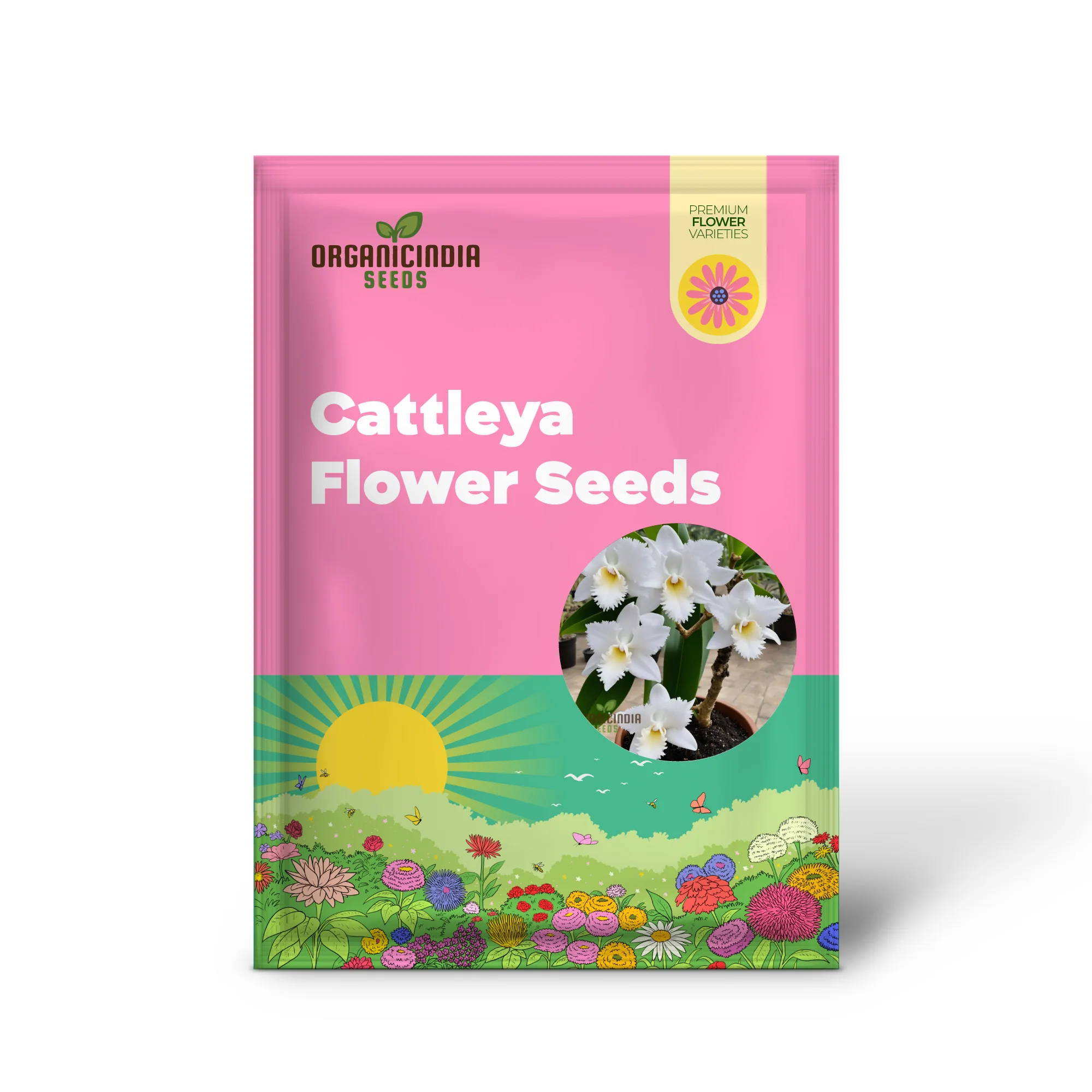 White Cattleya Flower Seeds for Planting, Elevate Your Gardening Experience with Exquisite, Sophisticated Blooms - Image 2