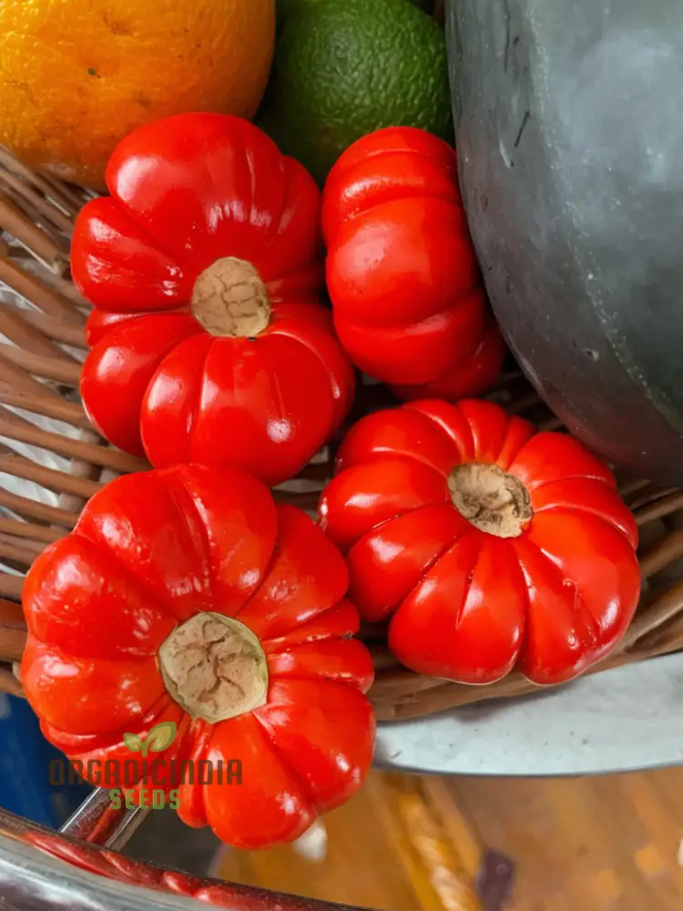 Grow Exotic Pumpkin Trees: Premium Solanum Integrifolium Seeds for Planting - Image 4