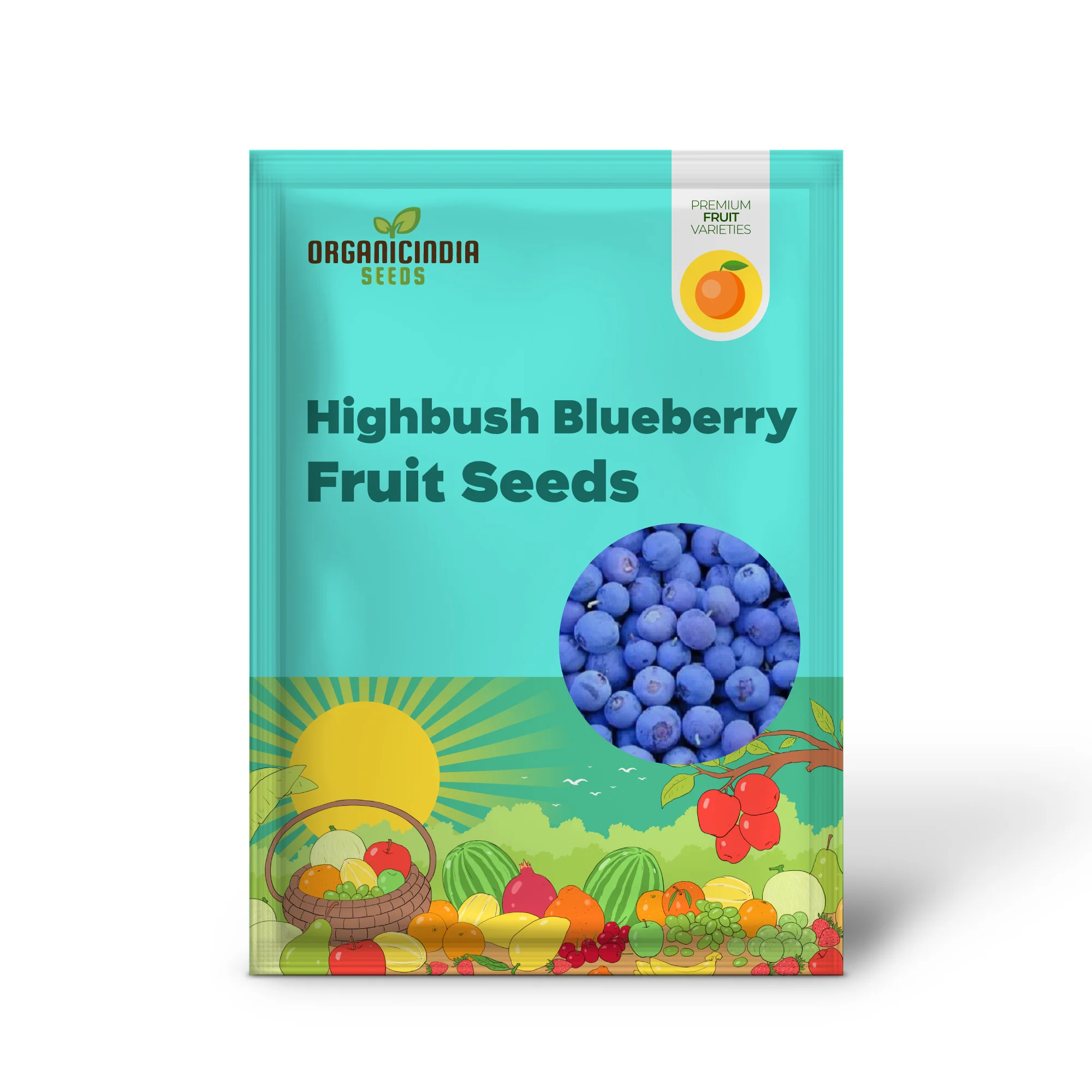 Northern Highbush Blueberry Fruit Seeds - Image 2