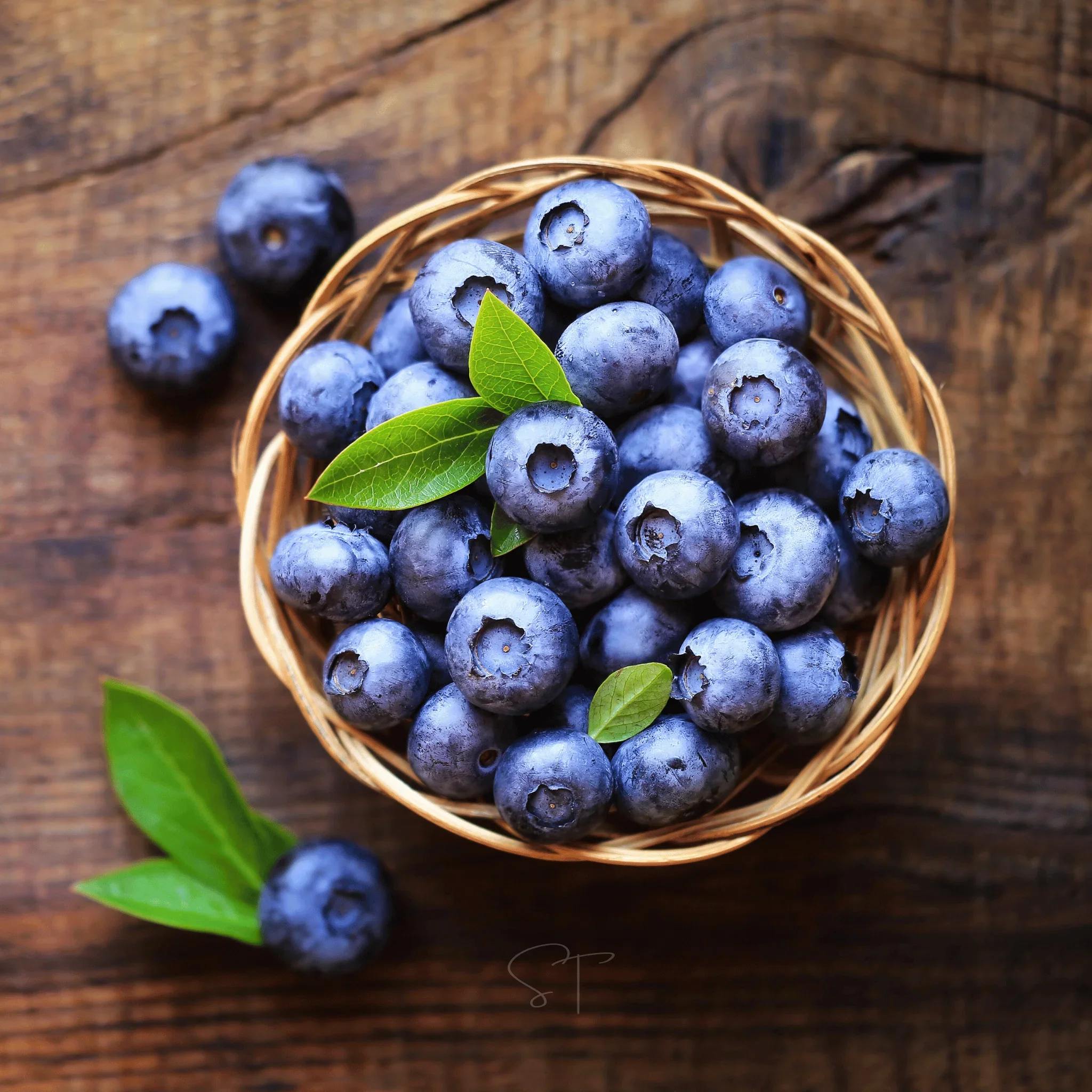 Northern Highbush Blueberry Fruit Seeds - Image 5
