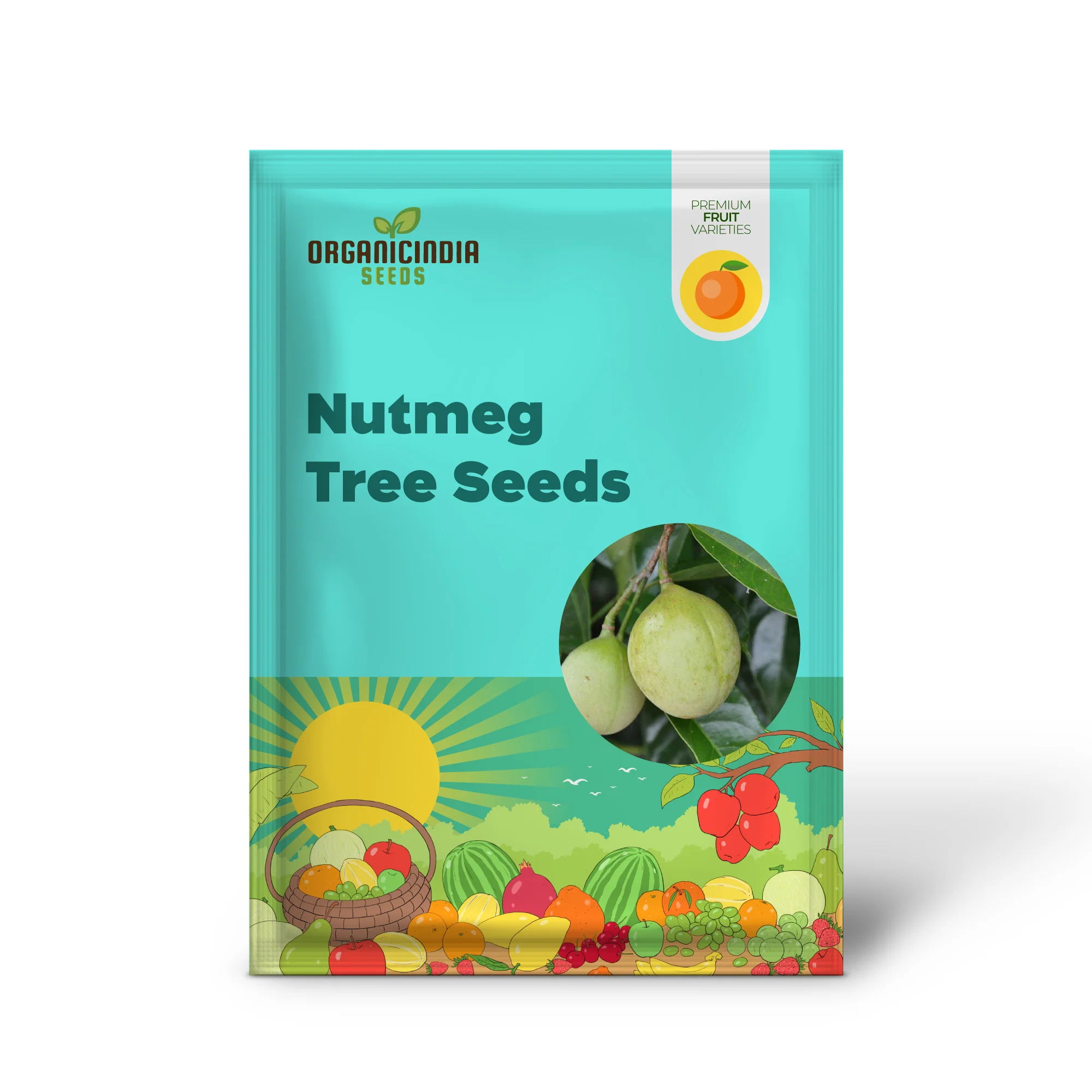 Nutmeg Tree Seeds - Image 3