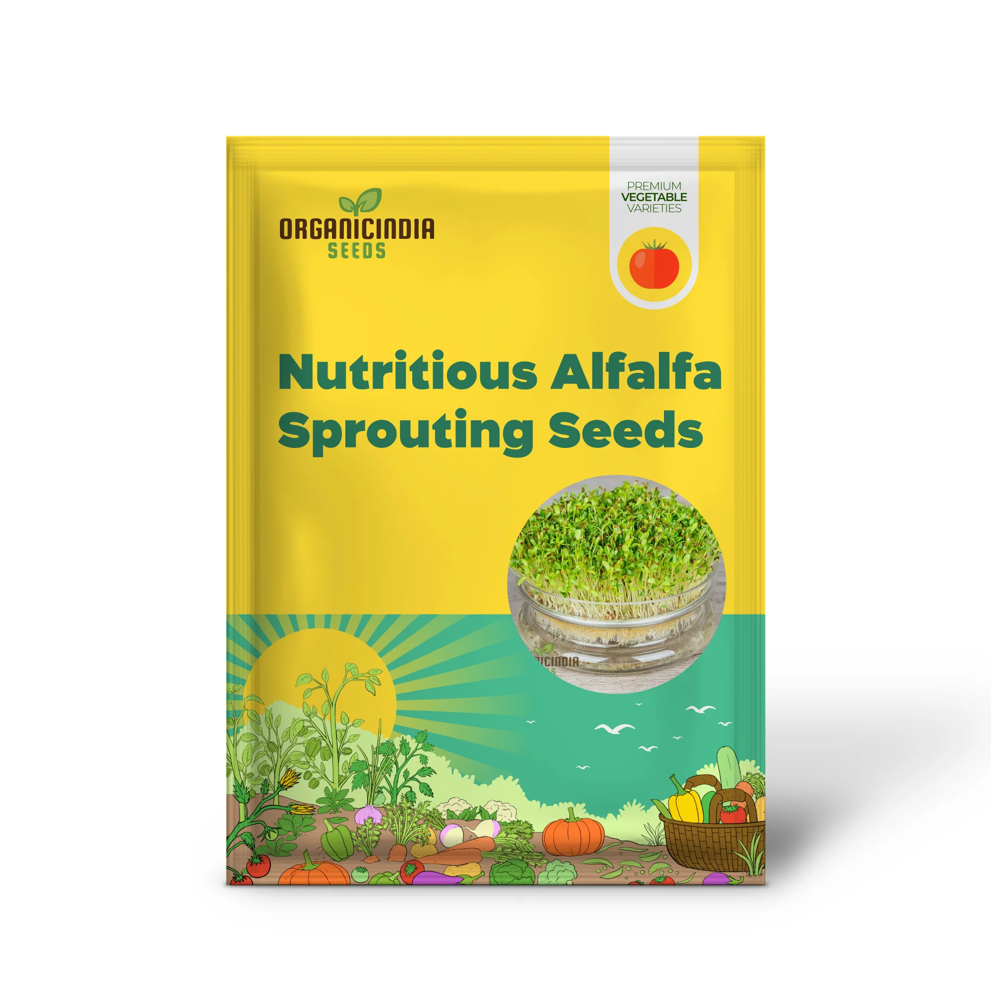 Nutritious Alfalfa Sprouting Seeds: Comprehensive Guide to Planting and Gardening for Homegrown Sprouts and Healthy Living - Image 2