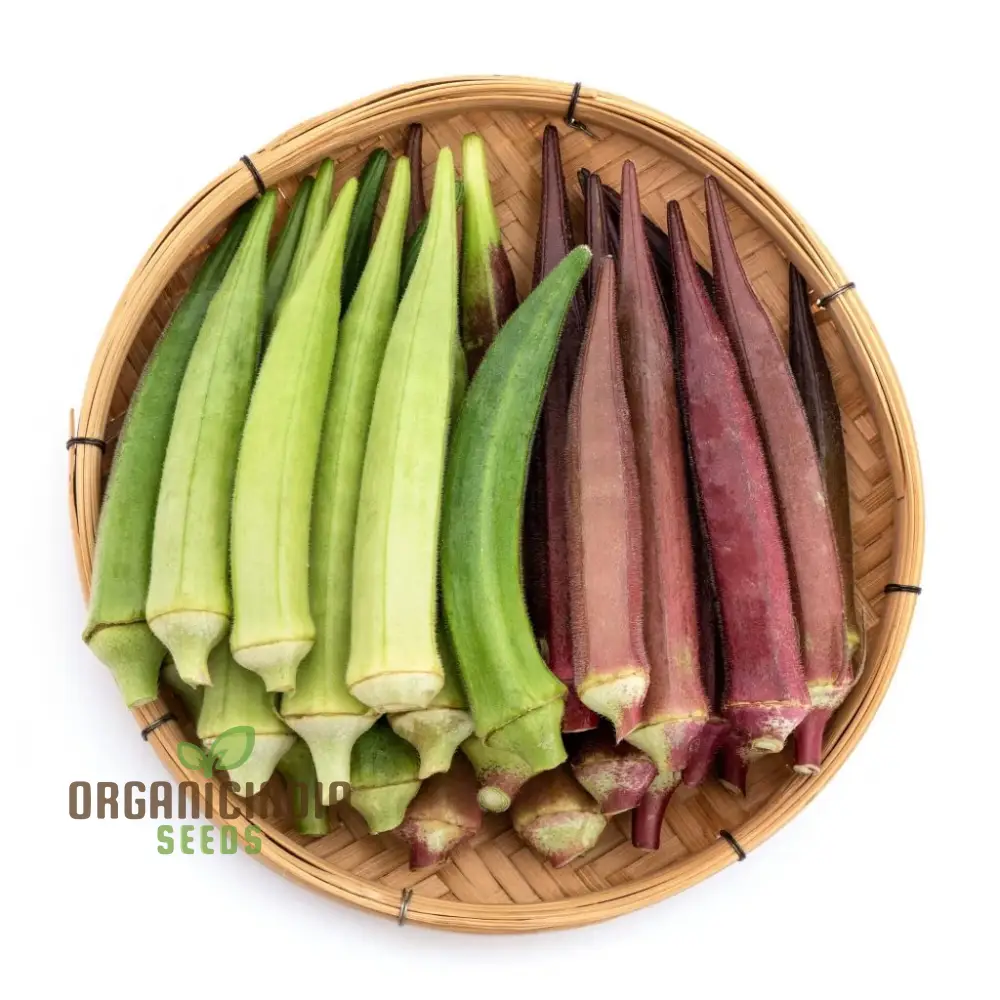 Okra - Heirloom Mix Seeds for Planting and Gardening - Premium Quality Non-GMO Varieties