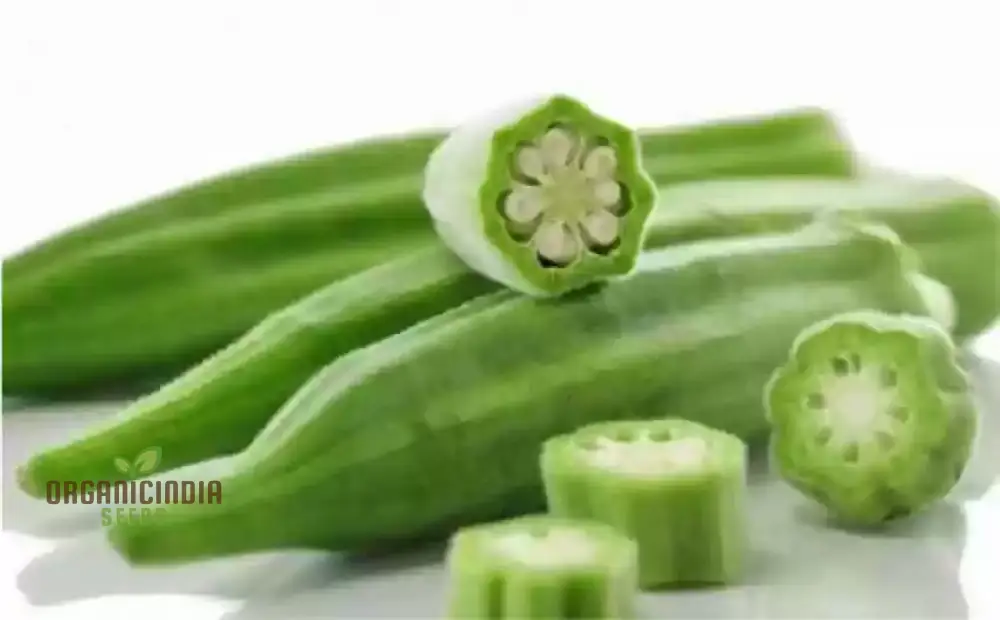 Okra - Heirloom Mix Seeds for Planting and Gardening - Premium Quality Non-GMO Varieties - Image 4