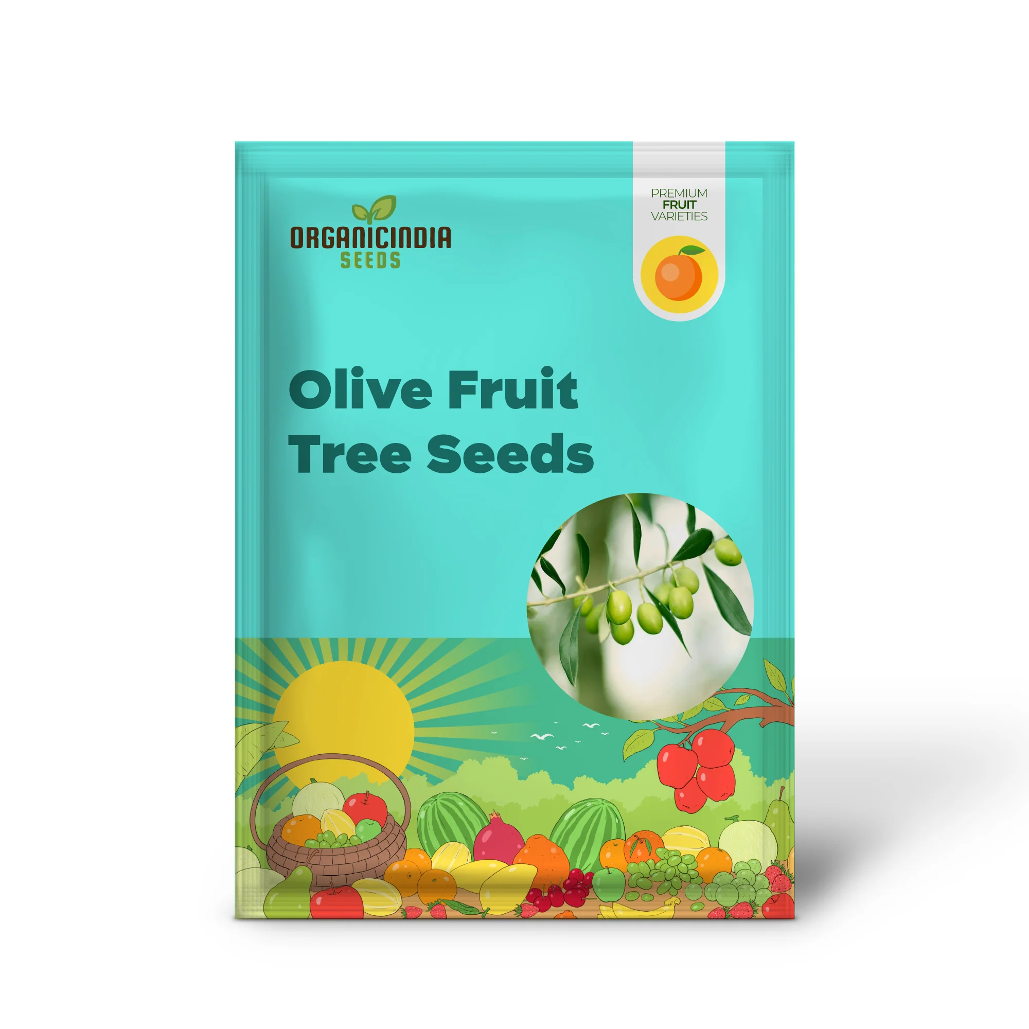 Olive Fruit Tree Seeds for Planting Non GMO, Evergreen Perennial - Image 2