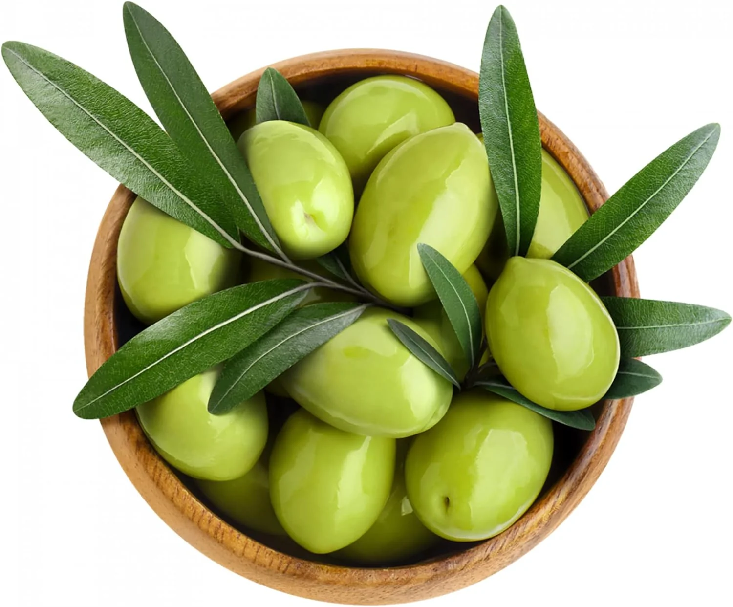 Olive Fruit Tree Seeds for Planting Non GMO, Evergreen Perennial - Image 4