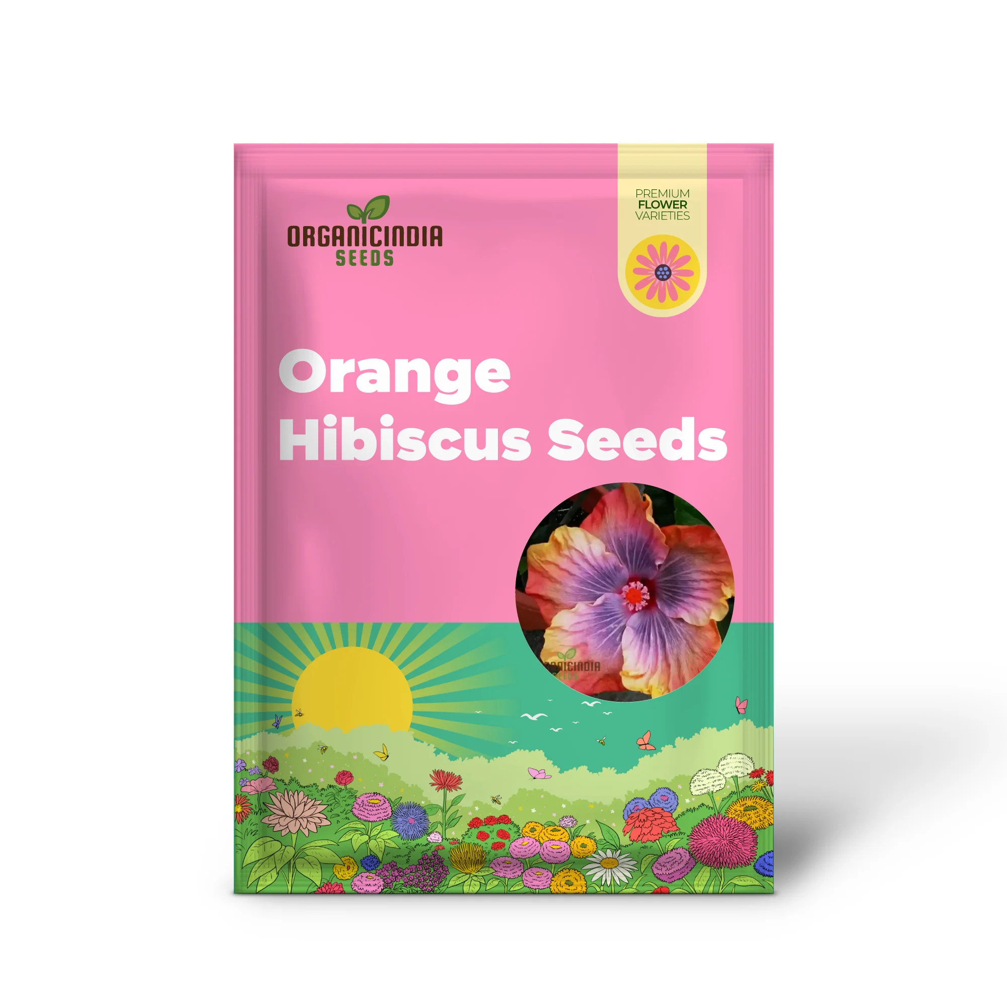 Orange Blue Orange Hibiscus Seeds for Planting - 100 pcs - Image 2