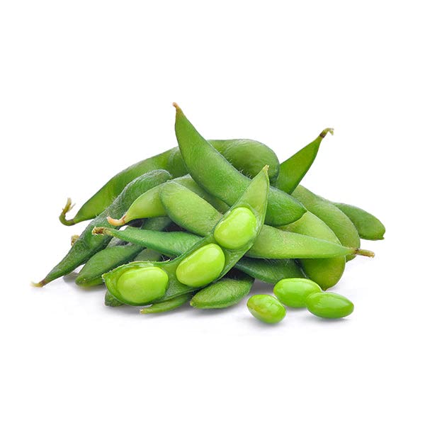 Organic Bean, Edamame Green Shell Seeds for Gardening Enthusiasts High-Quality Non-GMO Seeds for Home Garden Planting - Image 4