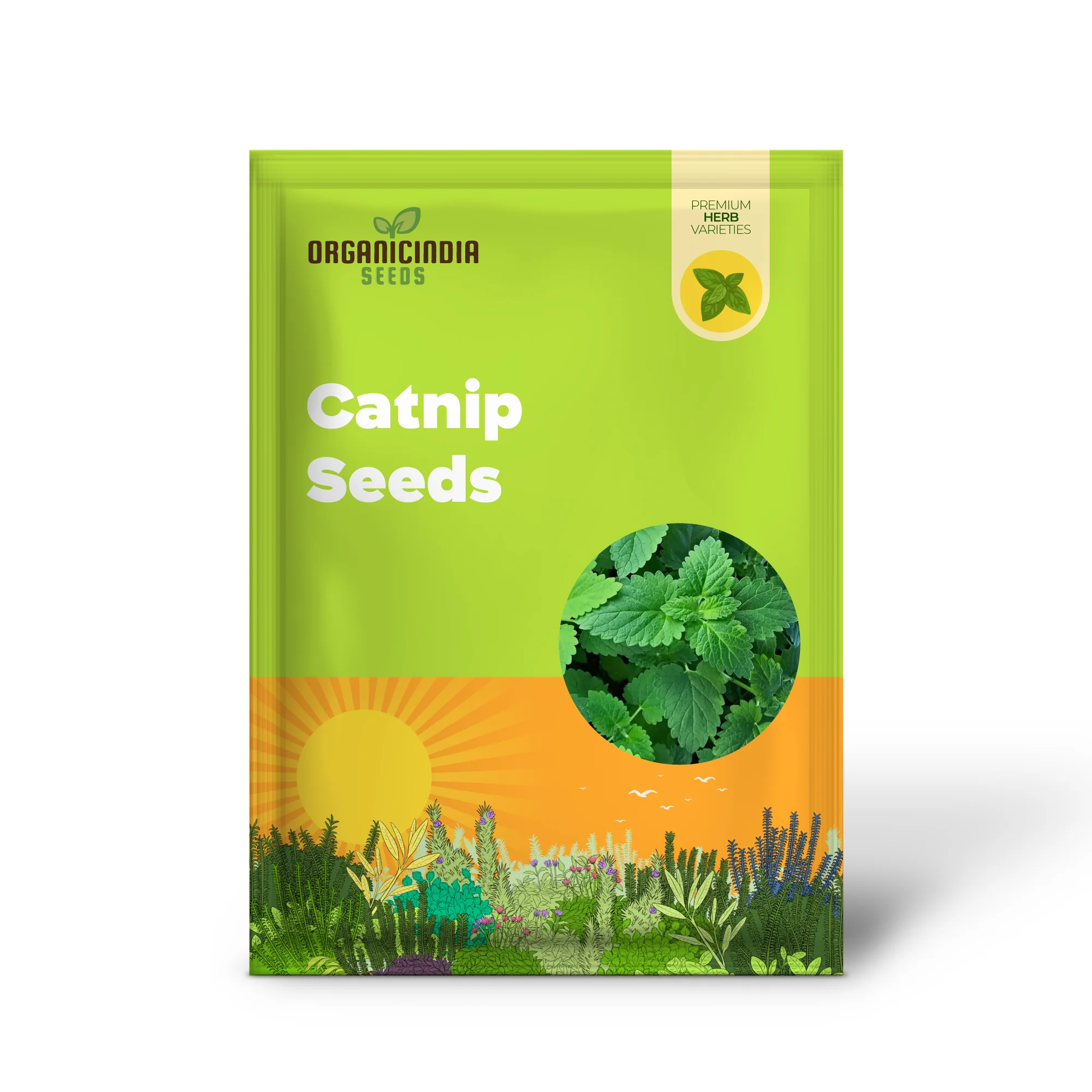 Organic Catnip Seeds – Premium Variety for Healthy Cats & Lush Garden Growth - Image 2