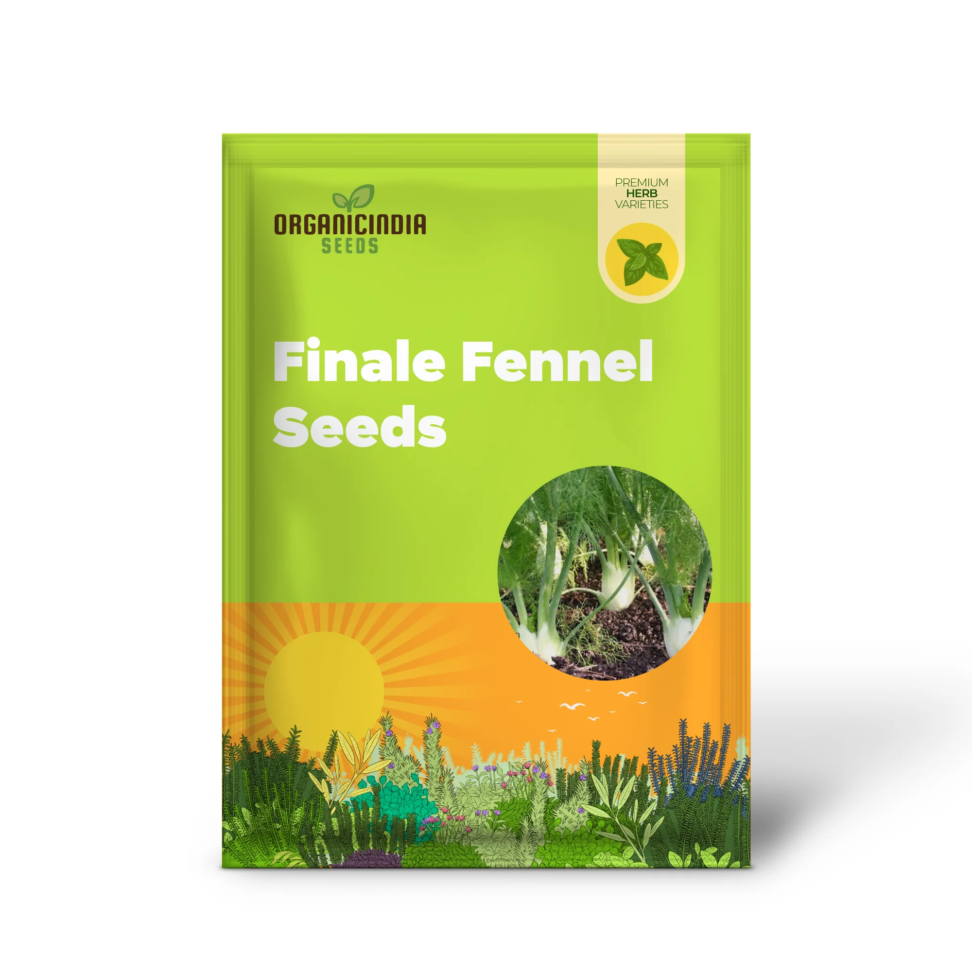 Organic Finale Fennel Seeds – Premium Herb Variety for Home Gardening - Image 2