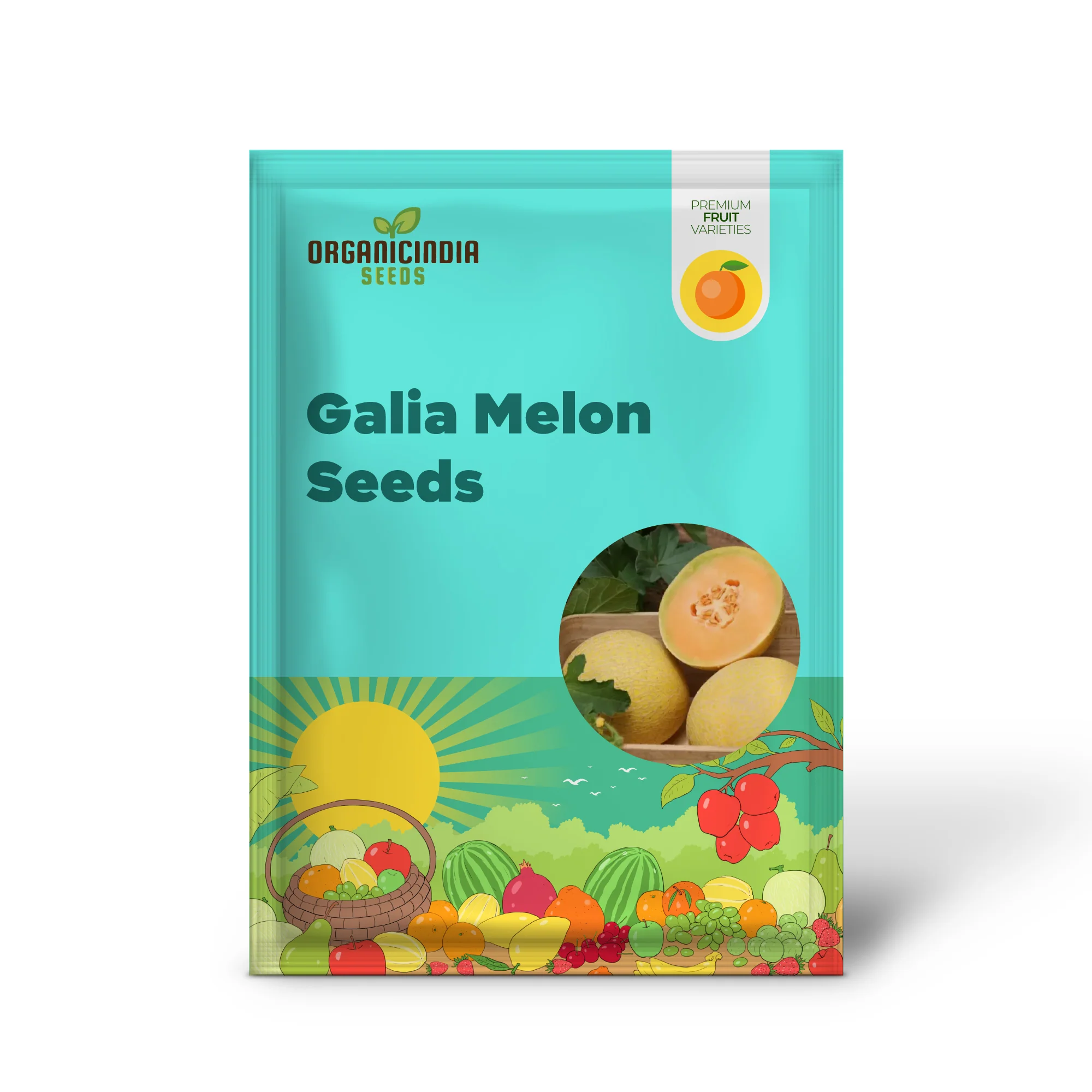 Organic Galia Melon Seeds for Your Vibrant Garden - Image 2