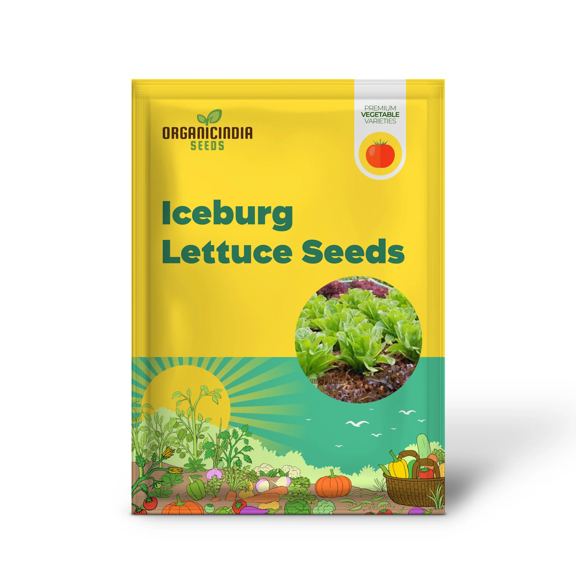 Organic Iceburg Lettuce Seeds for Vibrant Home Gardening | Grow Crisp and Crunchy Iceburg Lettuce in Your Garden with Our High-Quality Seeds - Image 2