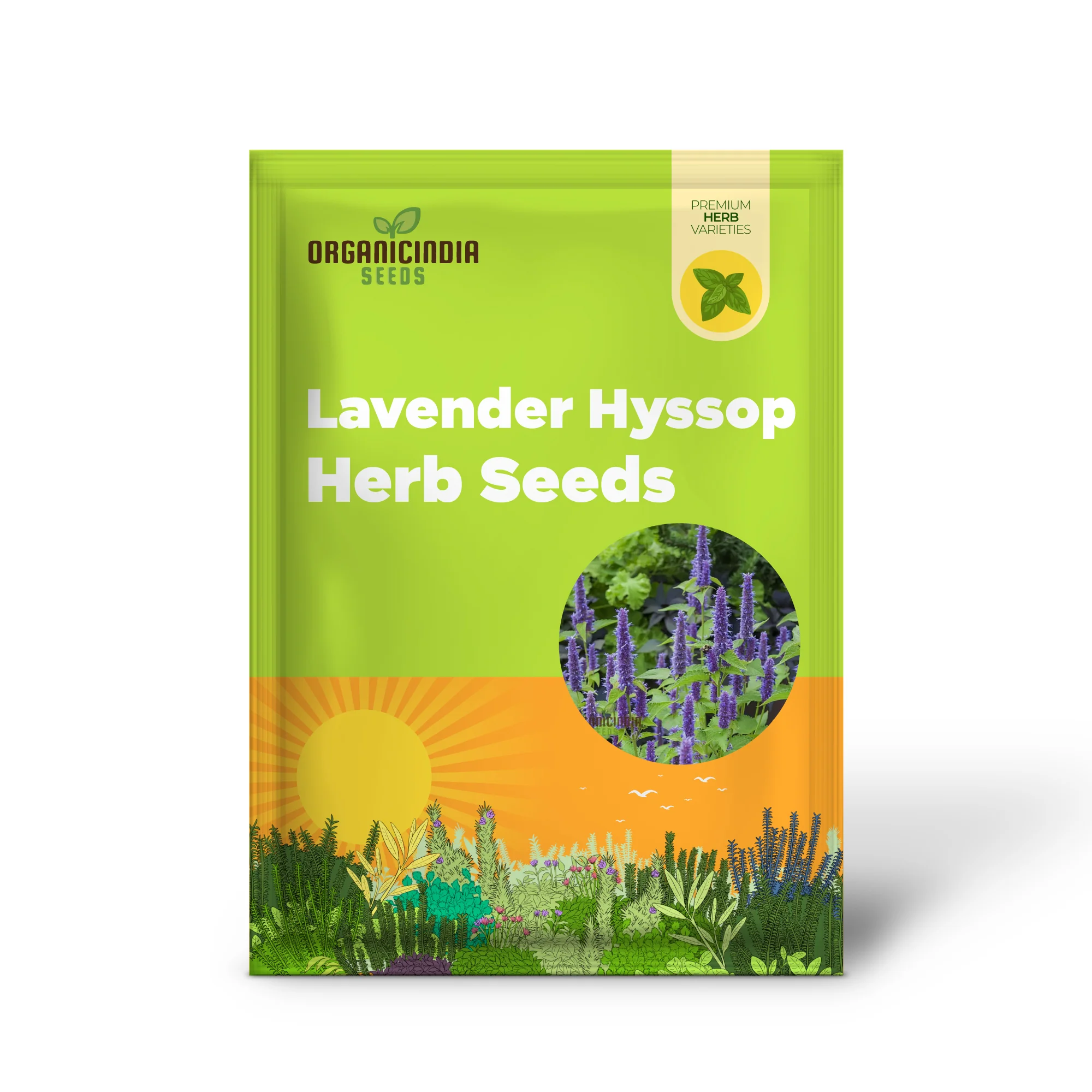 Organic Lavender Hyssop Seeds – Aromatic, Medicinal, Bee-Friendly Herb for Garden - Image 2