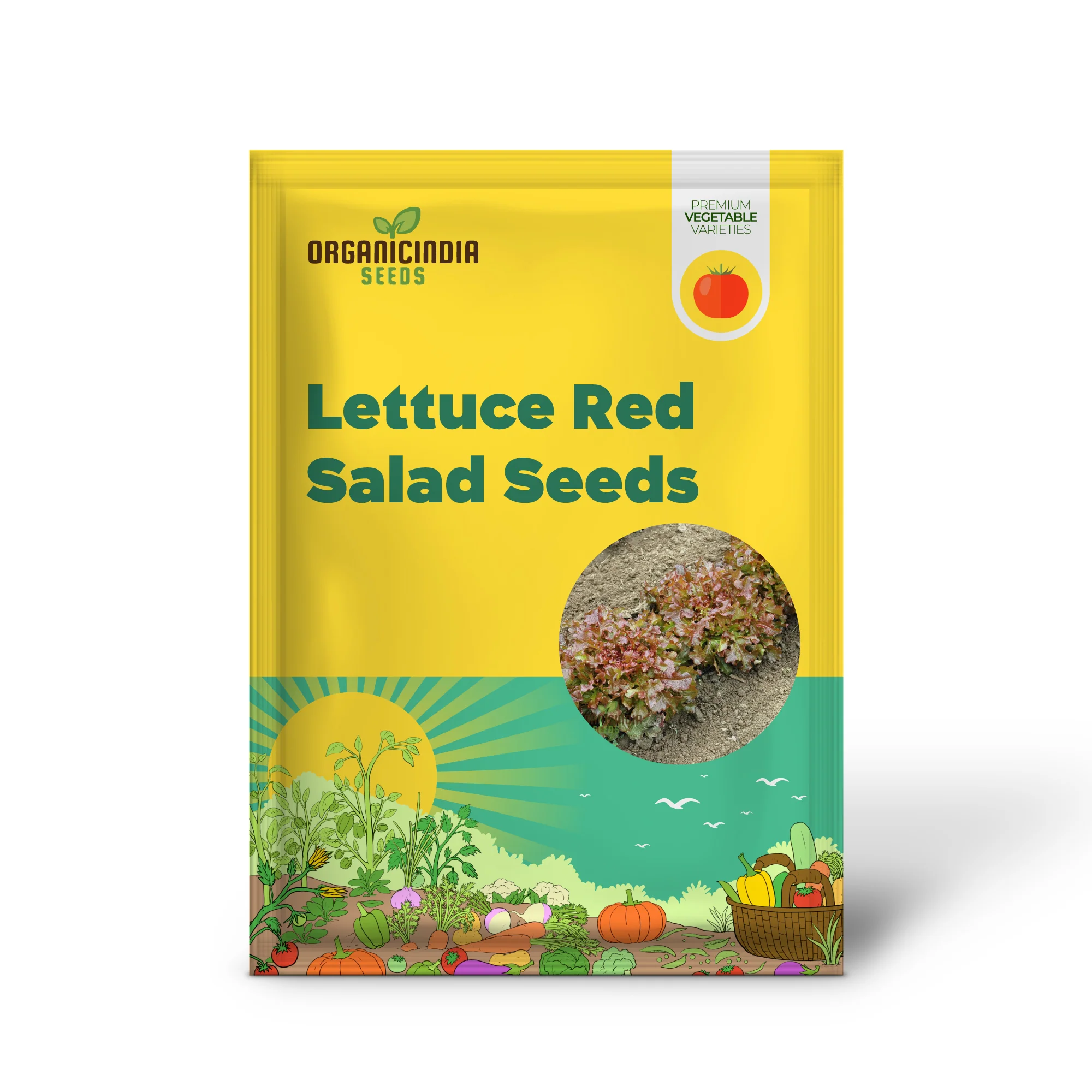 Organic Lettuce Red Salad Bowl Seeds for Planting - Perfect for Home Gardening, Fresh Salads, and Abundant Harvests - Image 2