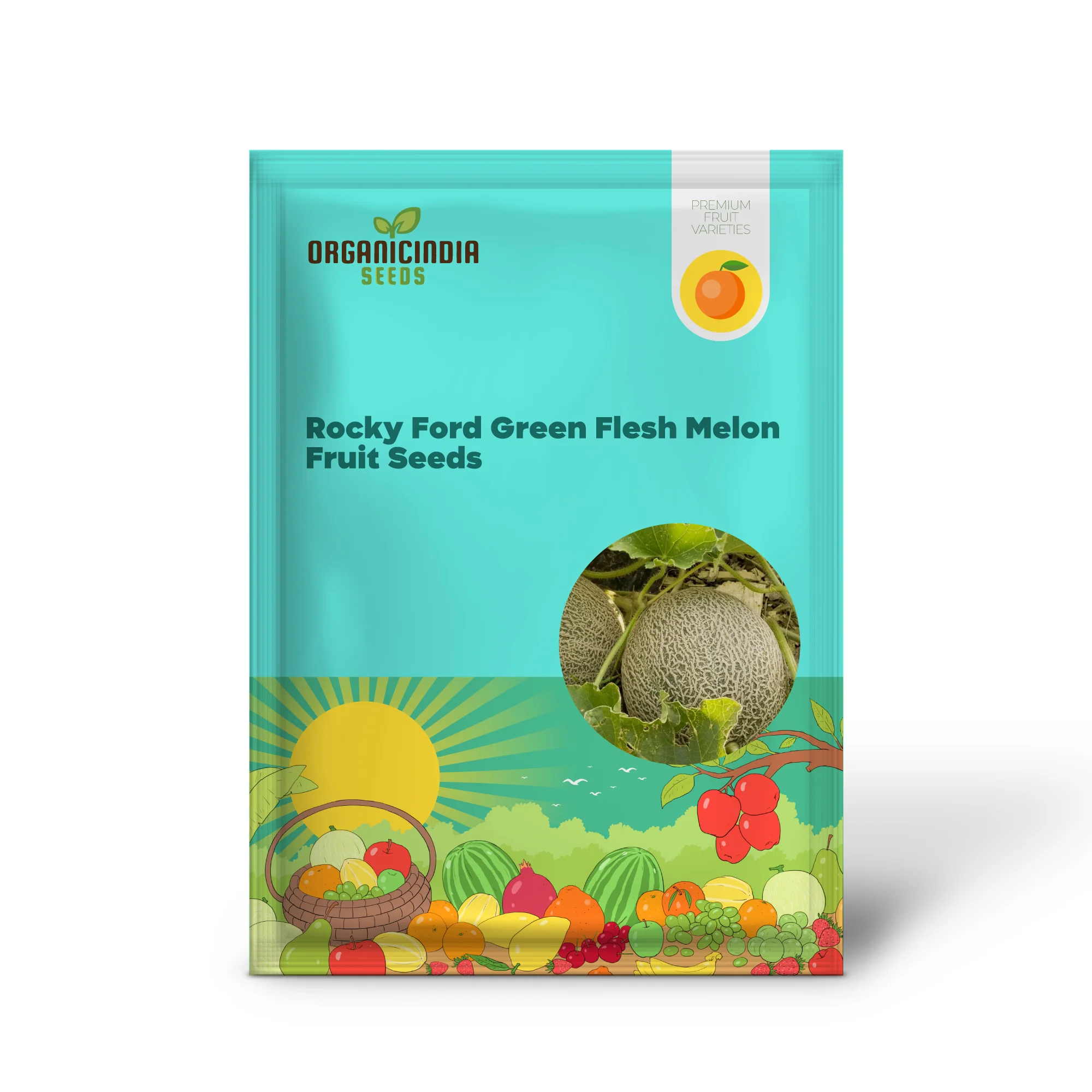 Bask in Garden Splendor, Organic Rocky Ford Green Flesh Melon Heirloom Seeds For Planting - Image 2