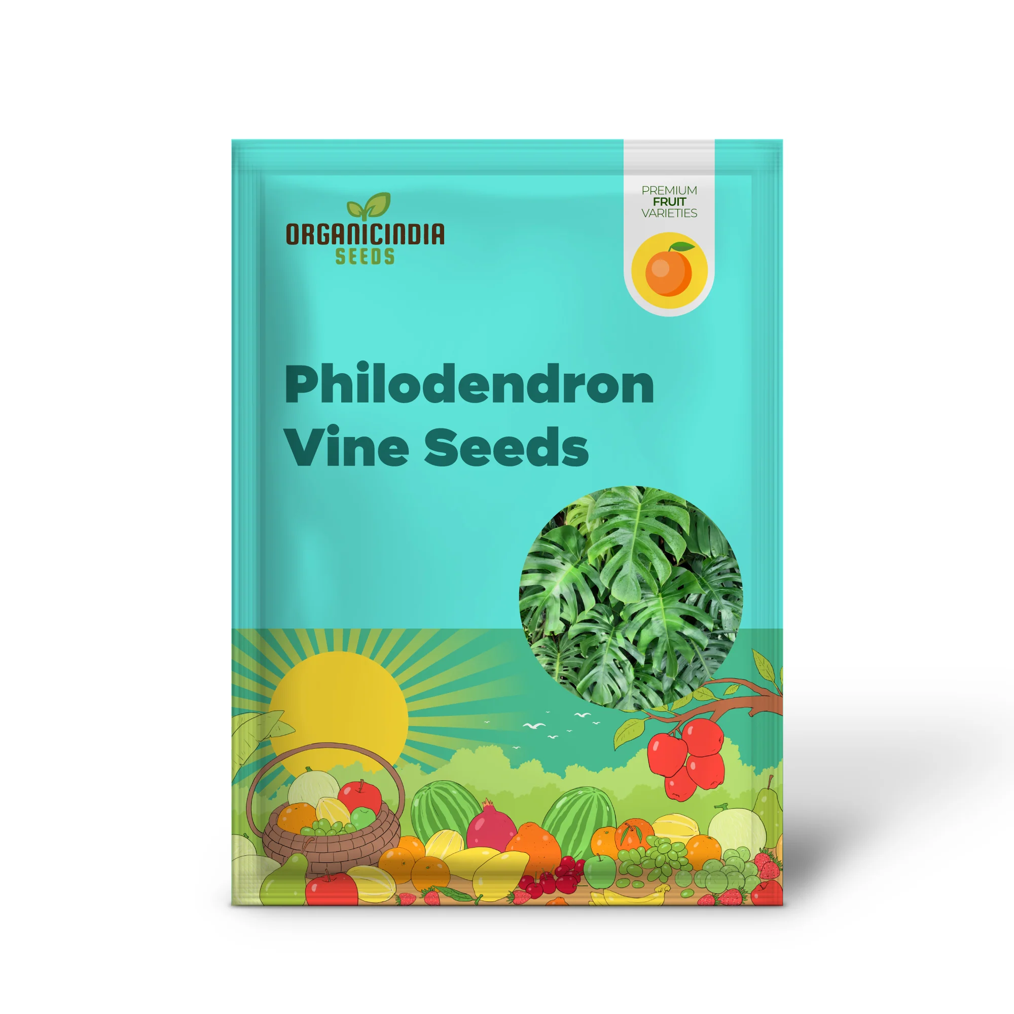 Split Leaf Philodendron Vine Seeds – Organic Tropical Foliage Variety for Home & Garden - Image 2