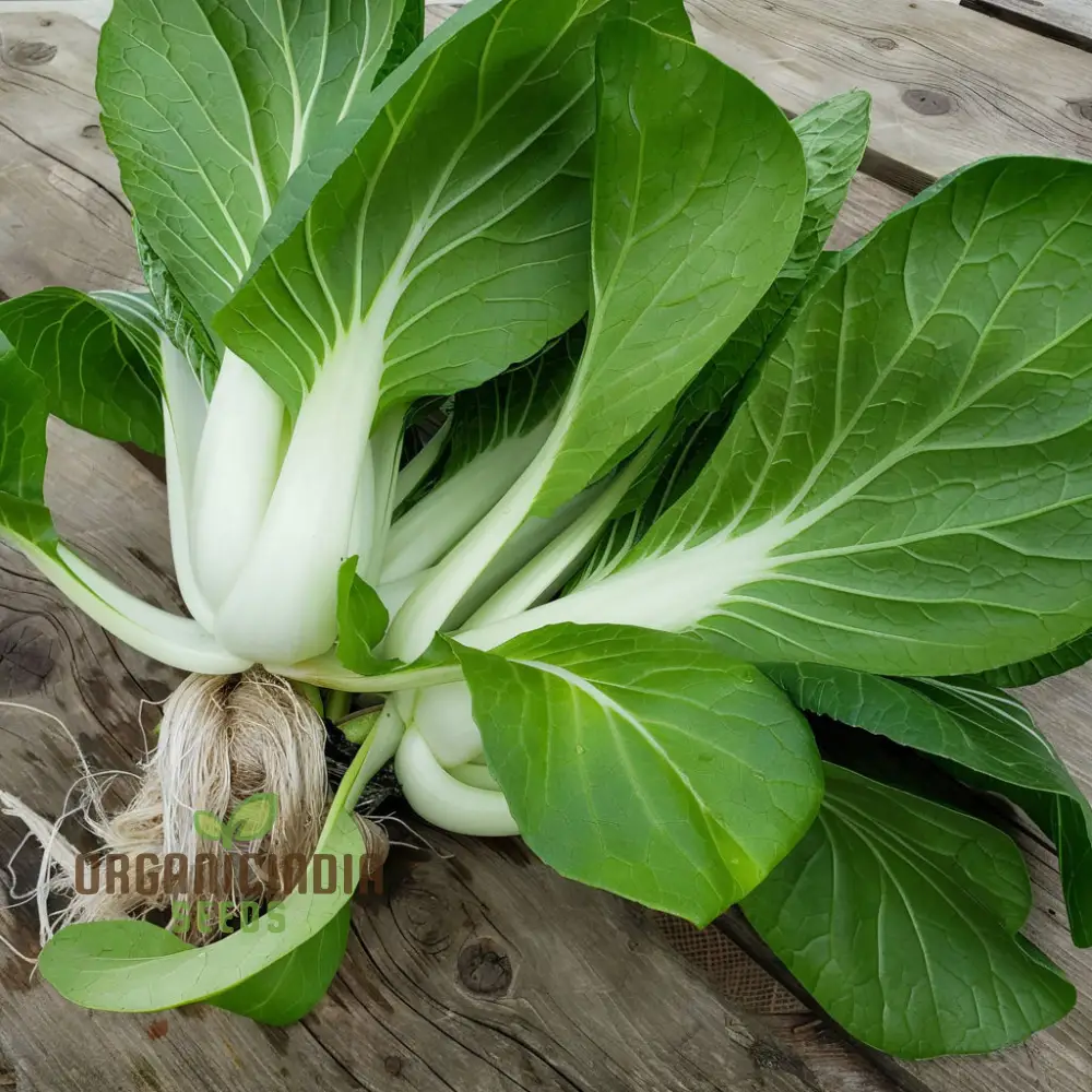 Organic White Pak Choi Seeds for Your Gardening Needs | Buy Seeds Online - Image 3