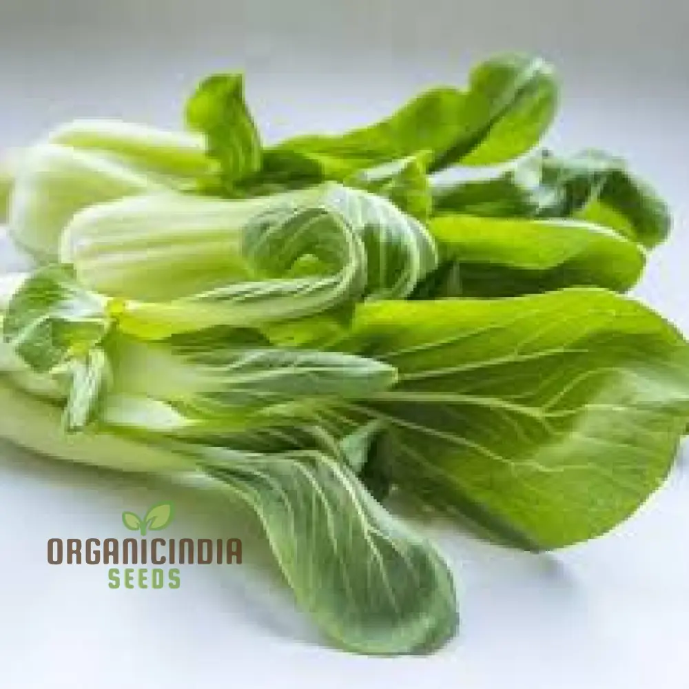 Organic White Pak Choi Seeds for Your Gardening Needs | Buy Seeds Online - Image 5
