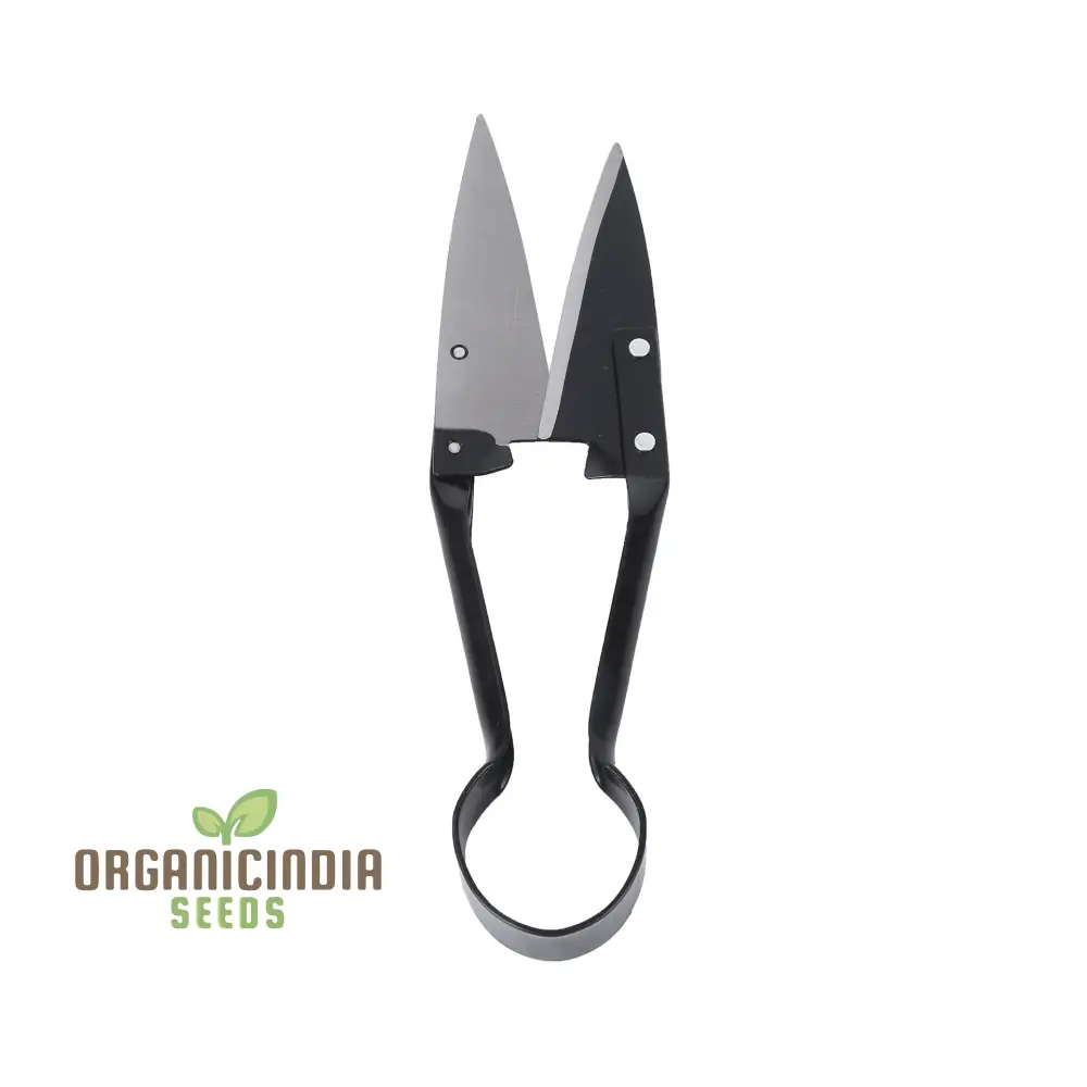 organicindiaseeds:Stainless Steel Topiary Shear