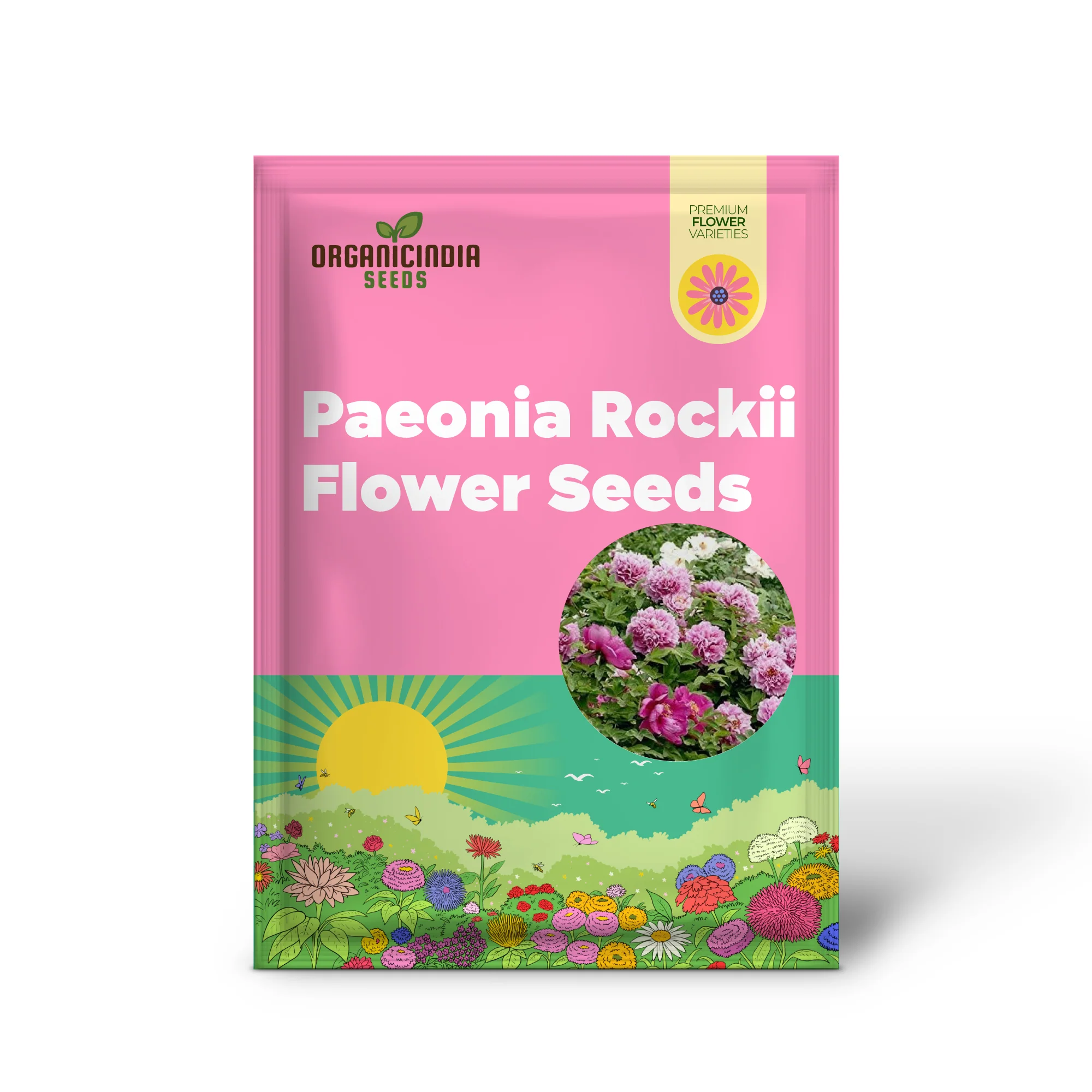 Paeonia Rockii Mixed Colours Seeds for Spectacular Garden Blooms - Gardening Delights - Image 2