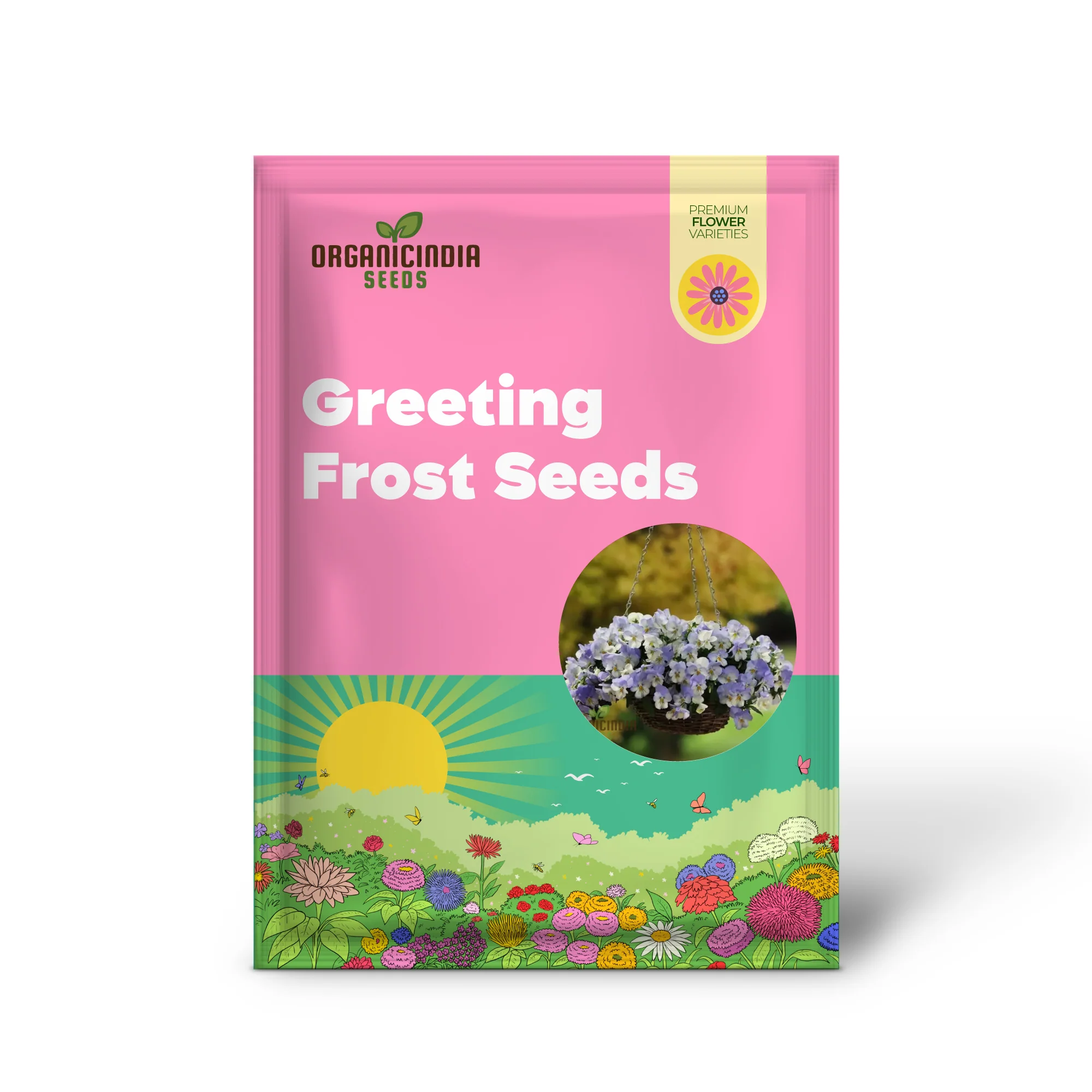 Pansy Cooling Greeting Frost Seeds, Planting, 100 pcs - Image 2