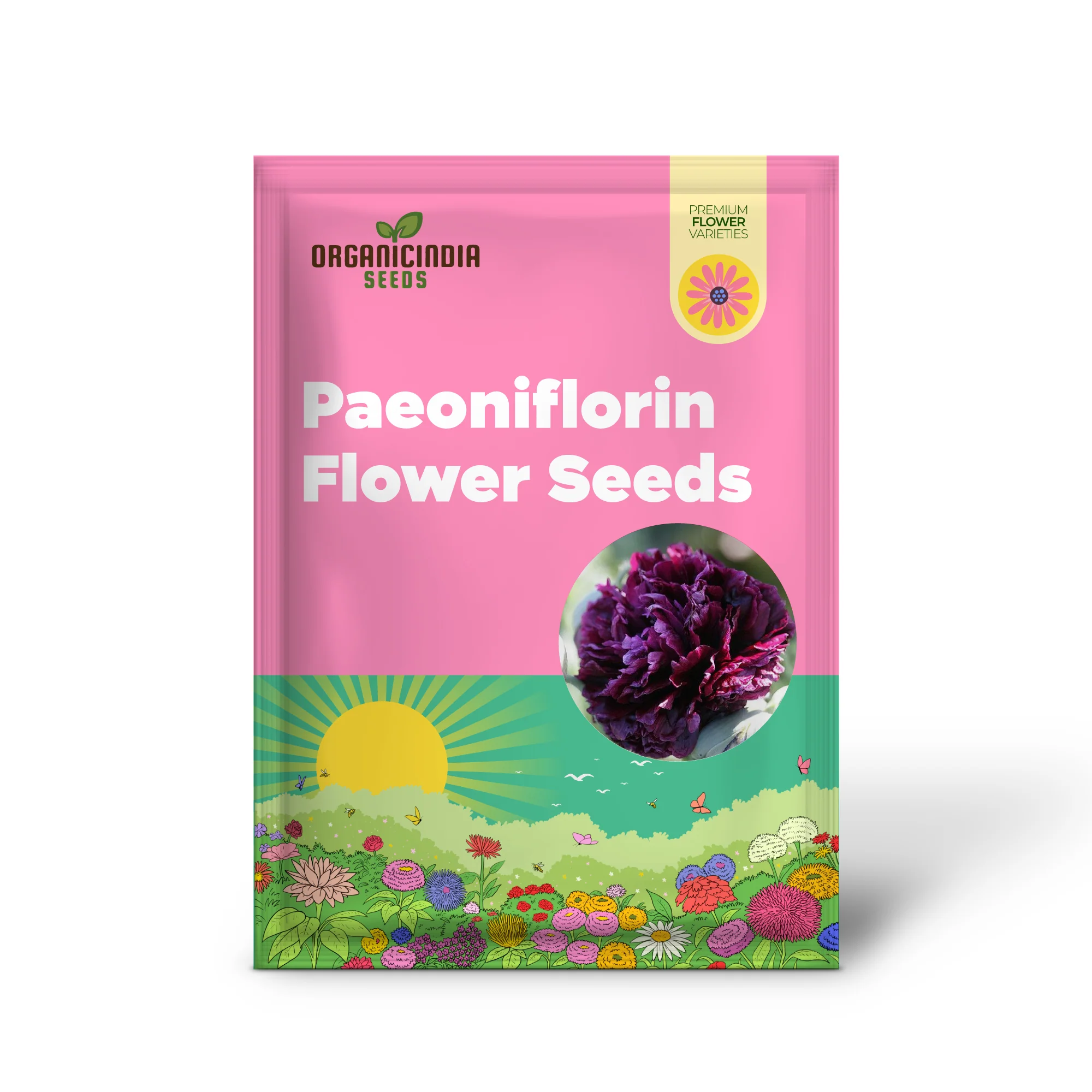 Papaver Paeoniflorin Black Peony Seeds – Elegant Black Poppy Blooms for Garden - Image 2