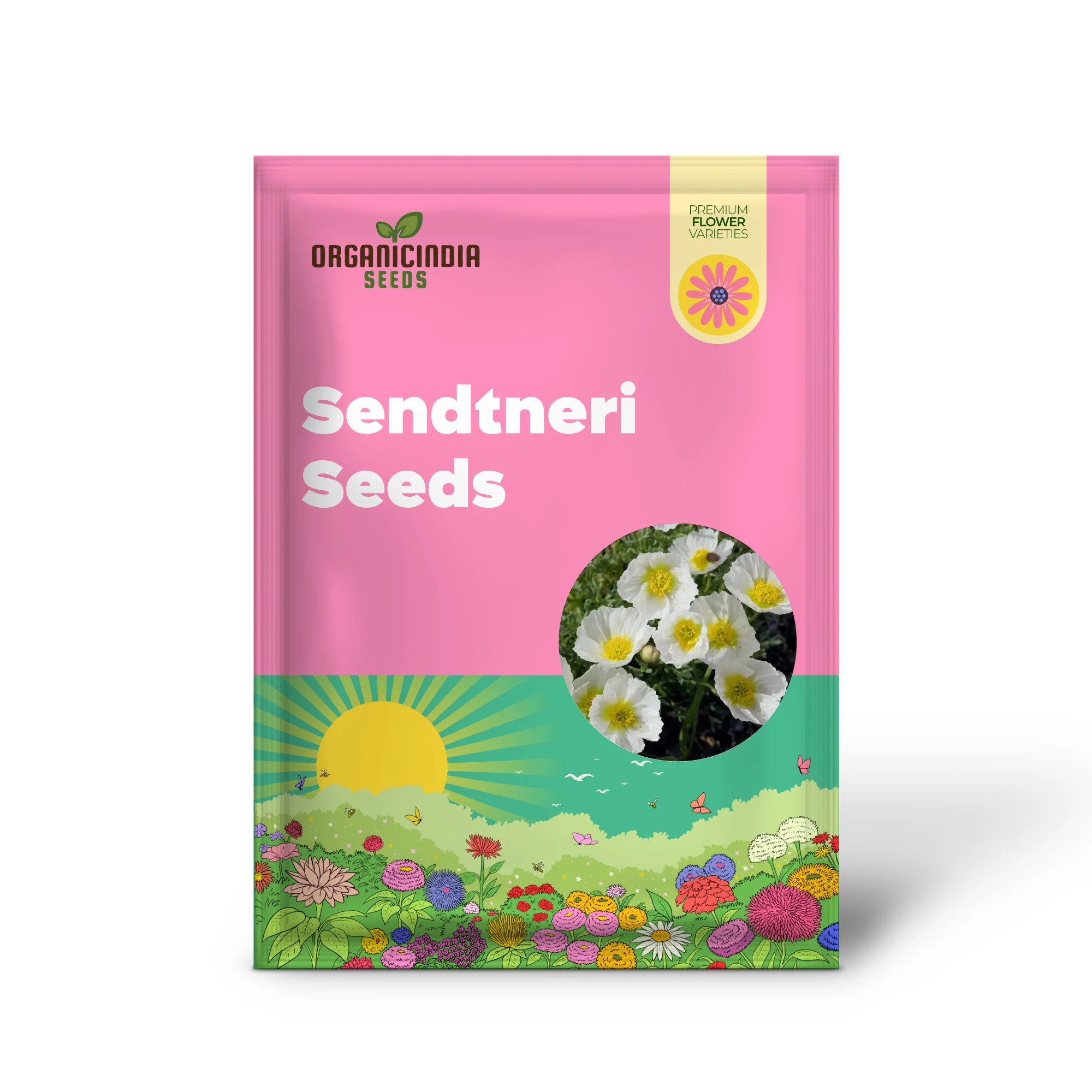 Papaver Sendtneri Seeds for Exquisite Garden Blooms | Rare Perennial Flower Seeds for Gardening Enthusiasts - Image 2