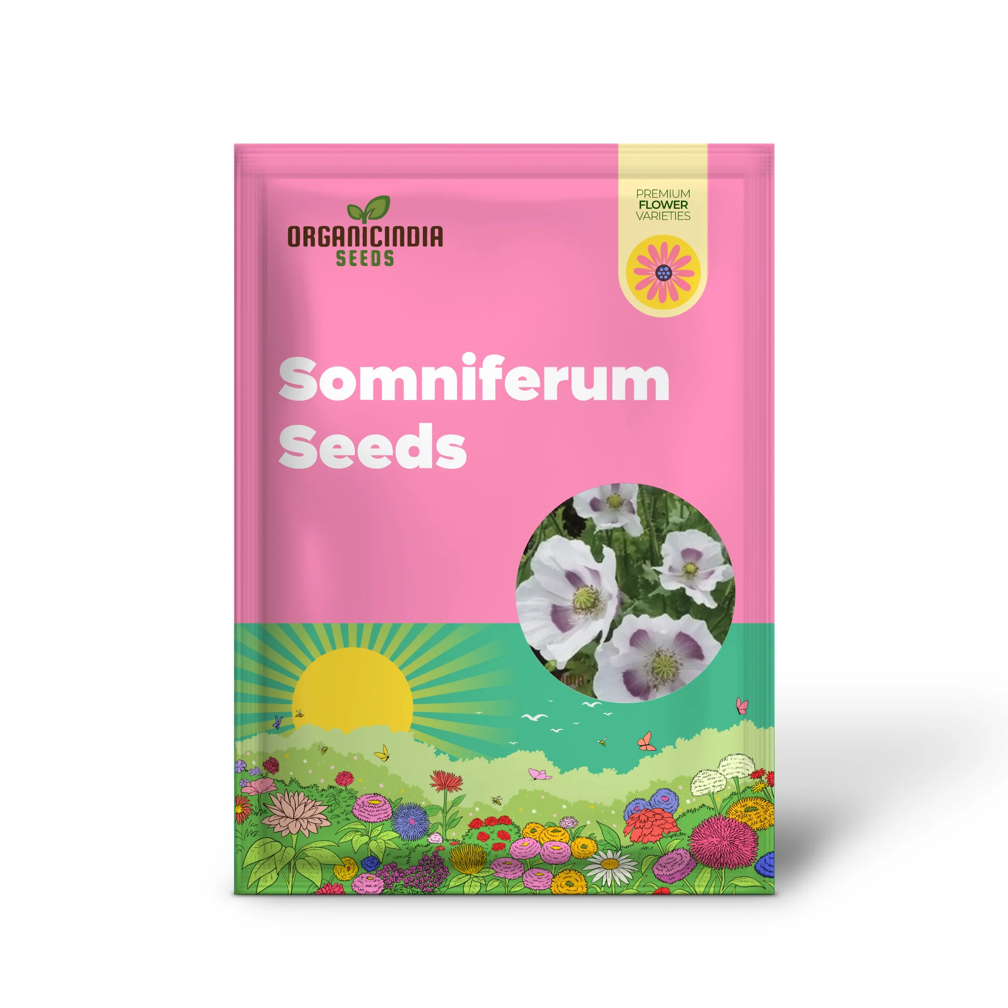 PAPAVER SOMNIFERUM 'MAANZAAD' Seeds - Premium Dutch Poppy Seeds for Beautiful Garden Blooms and Seed Collection - Image 2