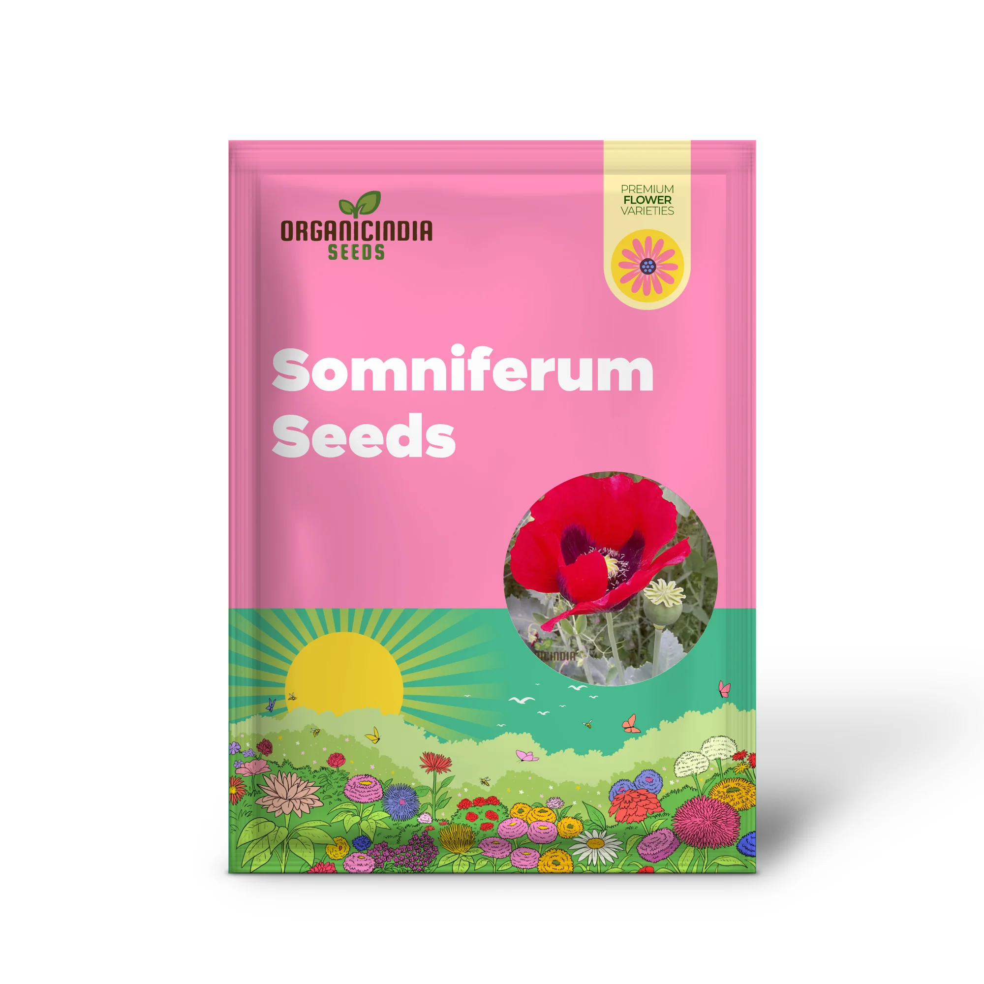 Papaver Somniferum Ultimate Mixture Seeds for Spectacular Gardening: Premium Quality, Vibrant Blooms, and Easy Cultivation for Your Garden Oasis - Image 2