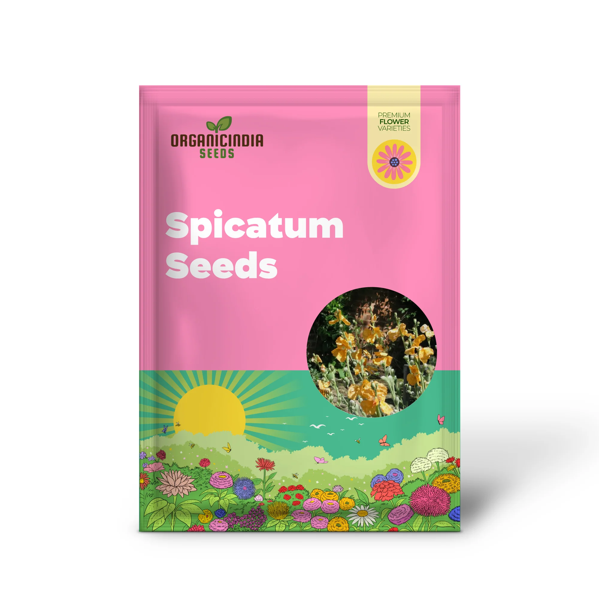 Papaver Spicatum Seeds for Gardening Enthusiasts | Premium Quality Seeds for Vibrant Blooms | Perfect for Flower Gardens and Landscaping - Image 2
