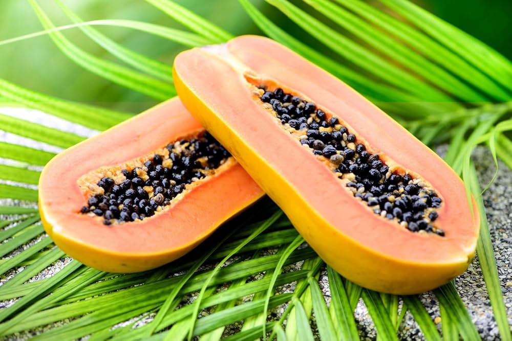 Papaya Melon Seeds - Image 4