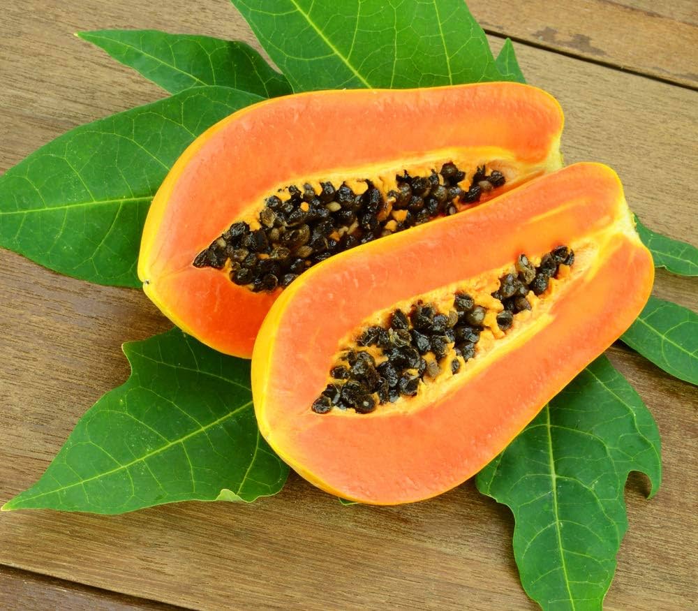 Papaya Melon Seeds - Image 5