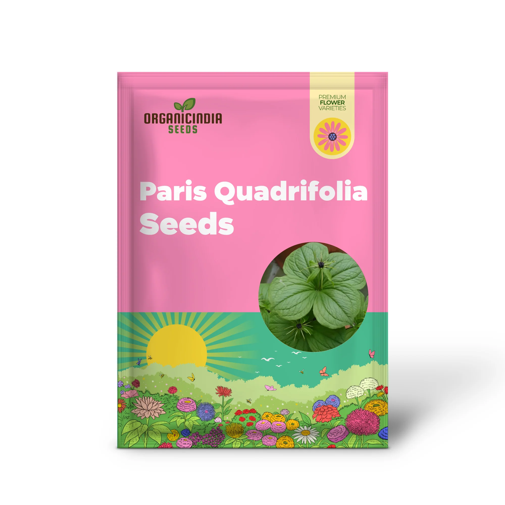 Paris Quadrifolia Seeds for Unique and Enchanting Gardens - Perfect for Gardening Enthusiasts Seeking Rare and Unusual Seeds - Image 2