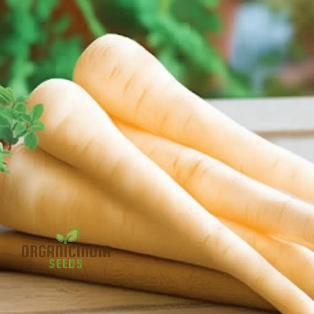 Parsnip Hollow Vegetable Seeds for a Flavorful and Nutritious Harvest - Image 3