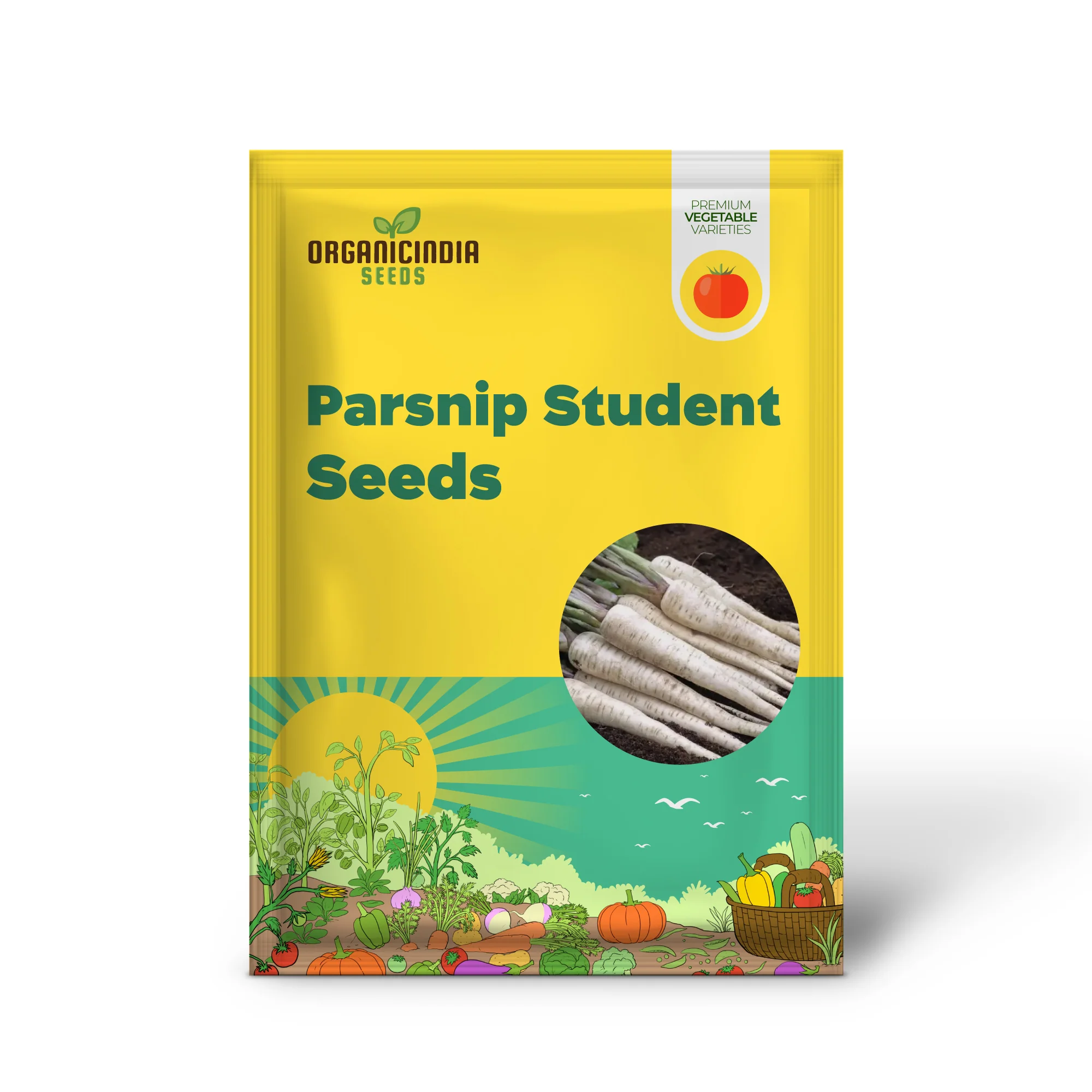 Parsnip Student Vegetable Seeds, Grow Nutritious and Flavorful Parsnips with Expert Tips and Techniques - Image 2